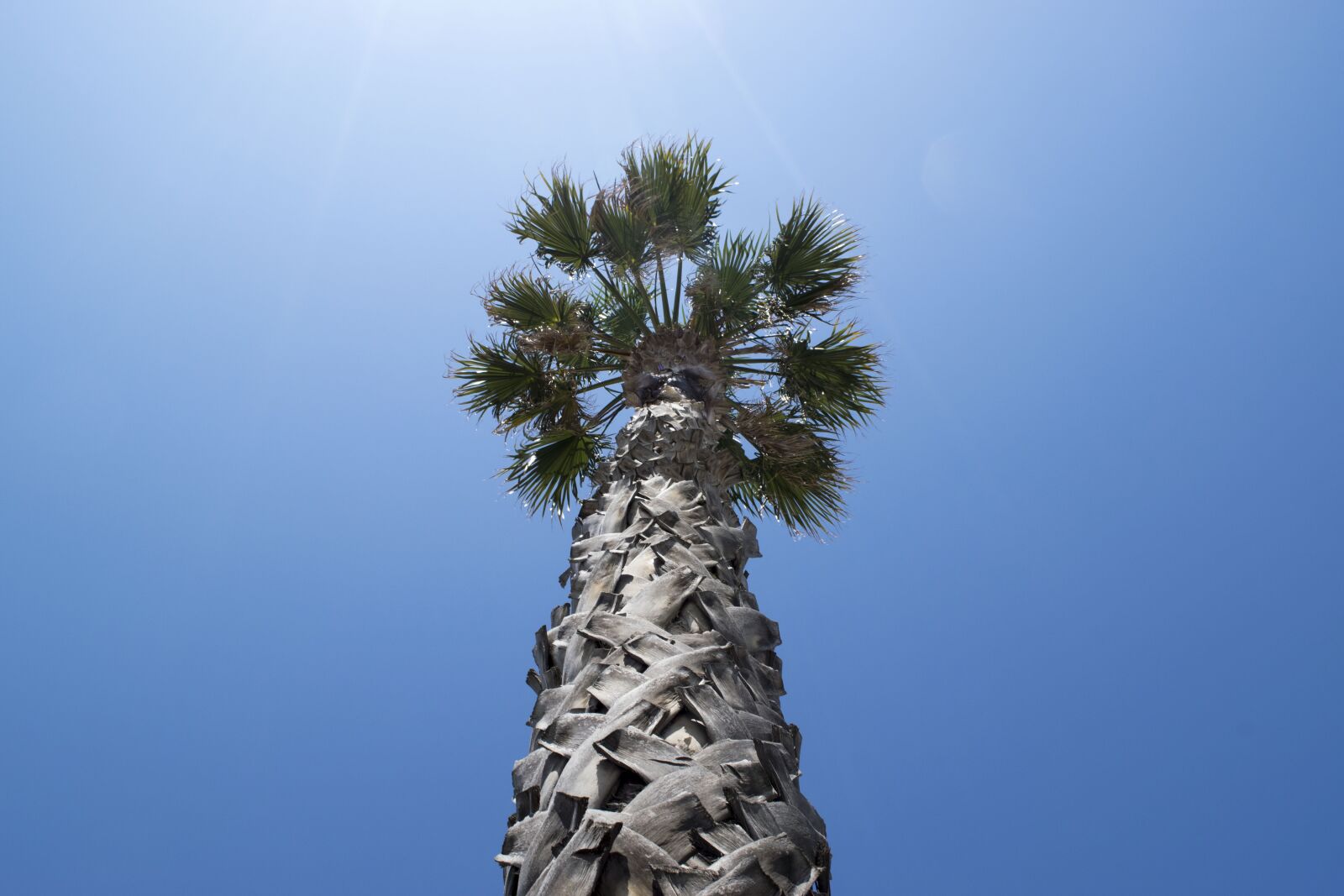 Nikon D5300 sample photo. Sky, sun, ray photography