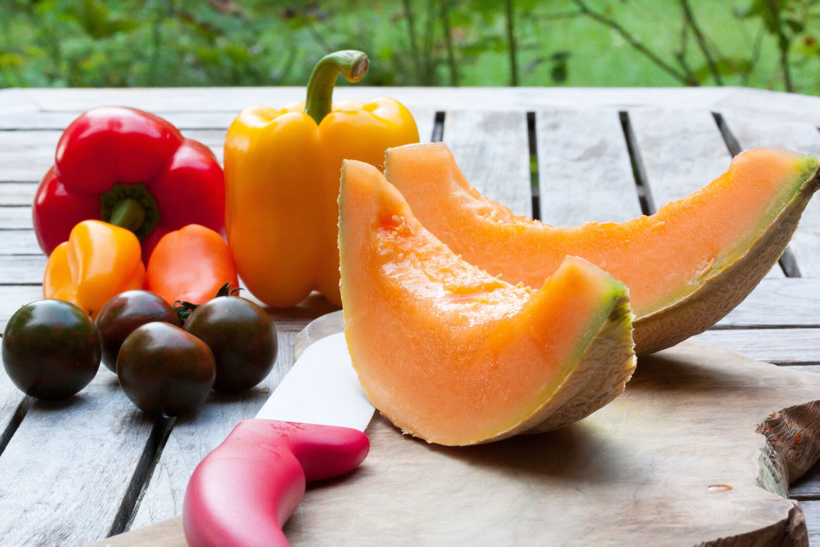 Canon EOS 50D sample photo. Melon, disc, knife photography
