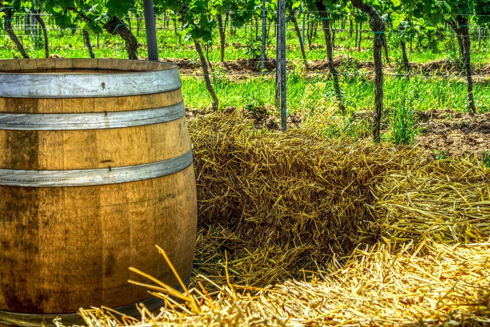 Sony a6000 + Sony E 35mm F1.8 OSS sample photo. Wine barrel, straw, straw photography