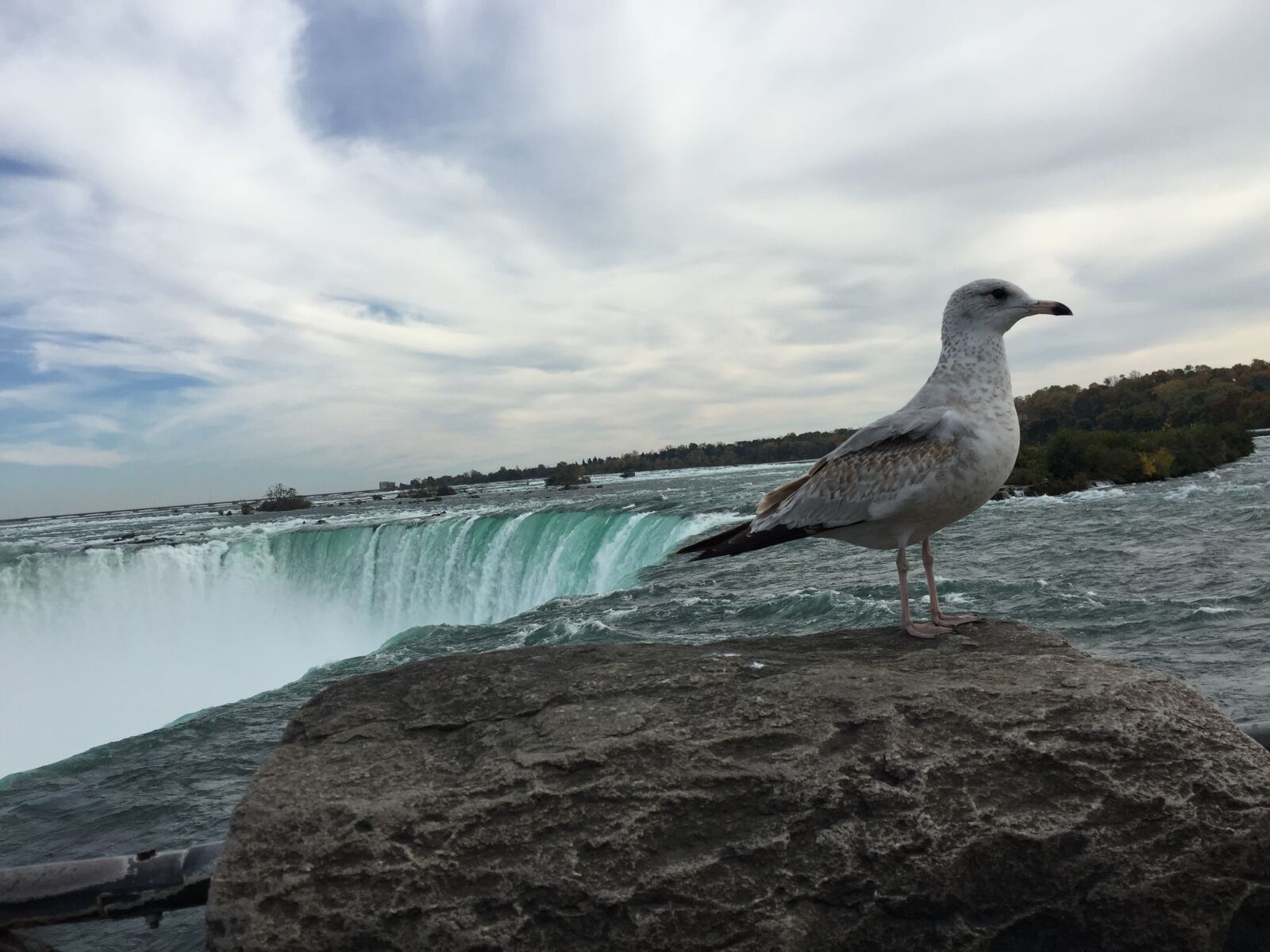 iPhone 6 Plus back camera 4.15mm f/2.2 sample photo. Niagarafalls, ontario, canada photography