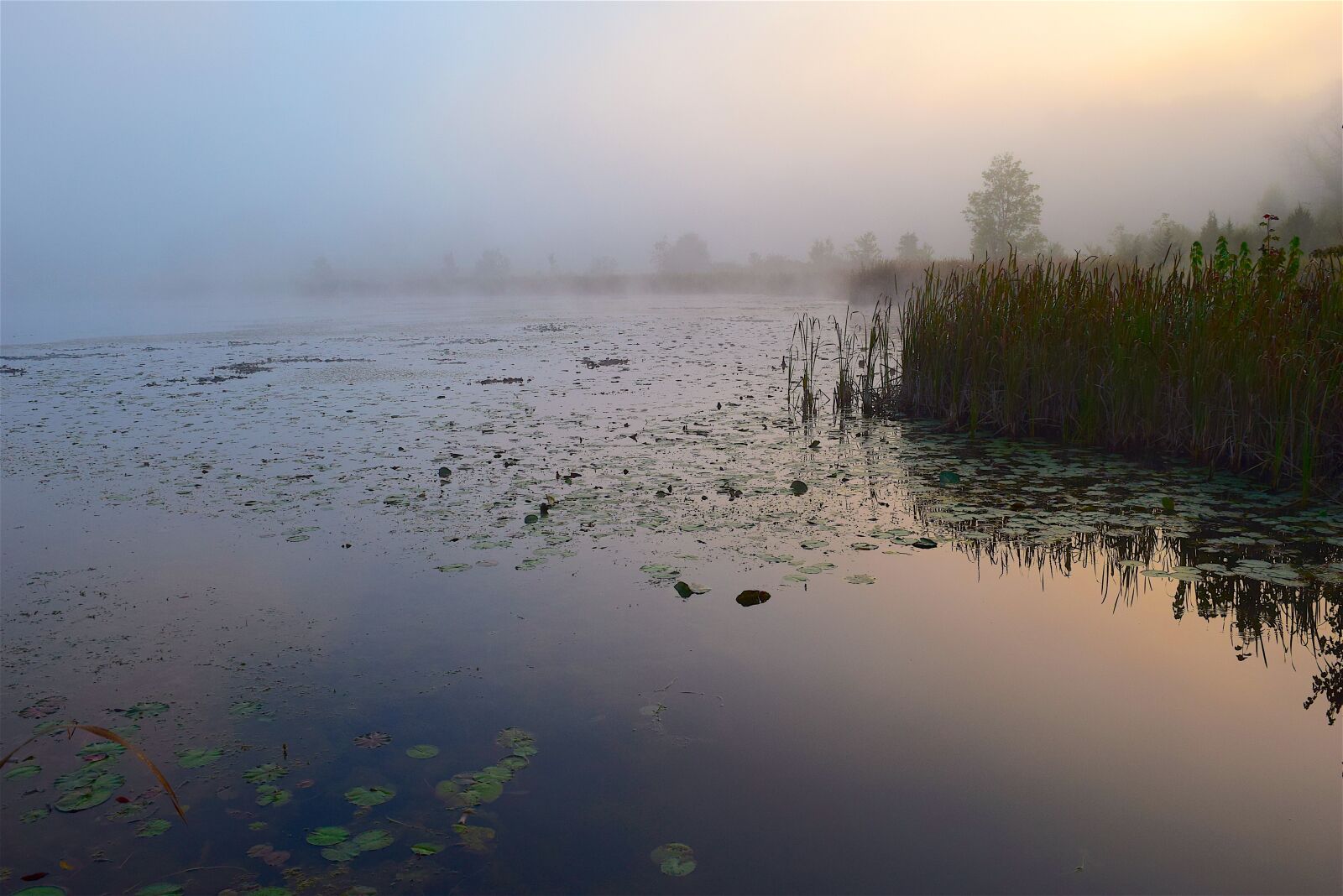 Nikon D3300 sample photo. Lake, mist, morning photography
