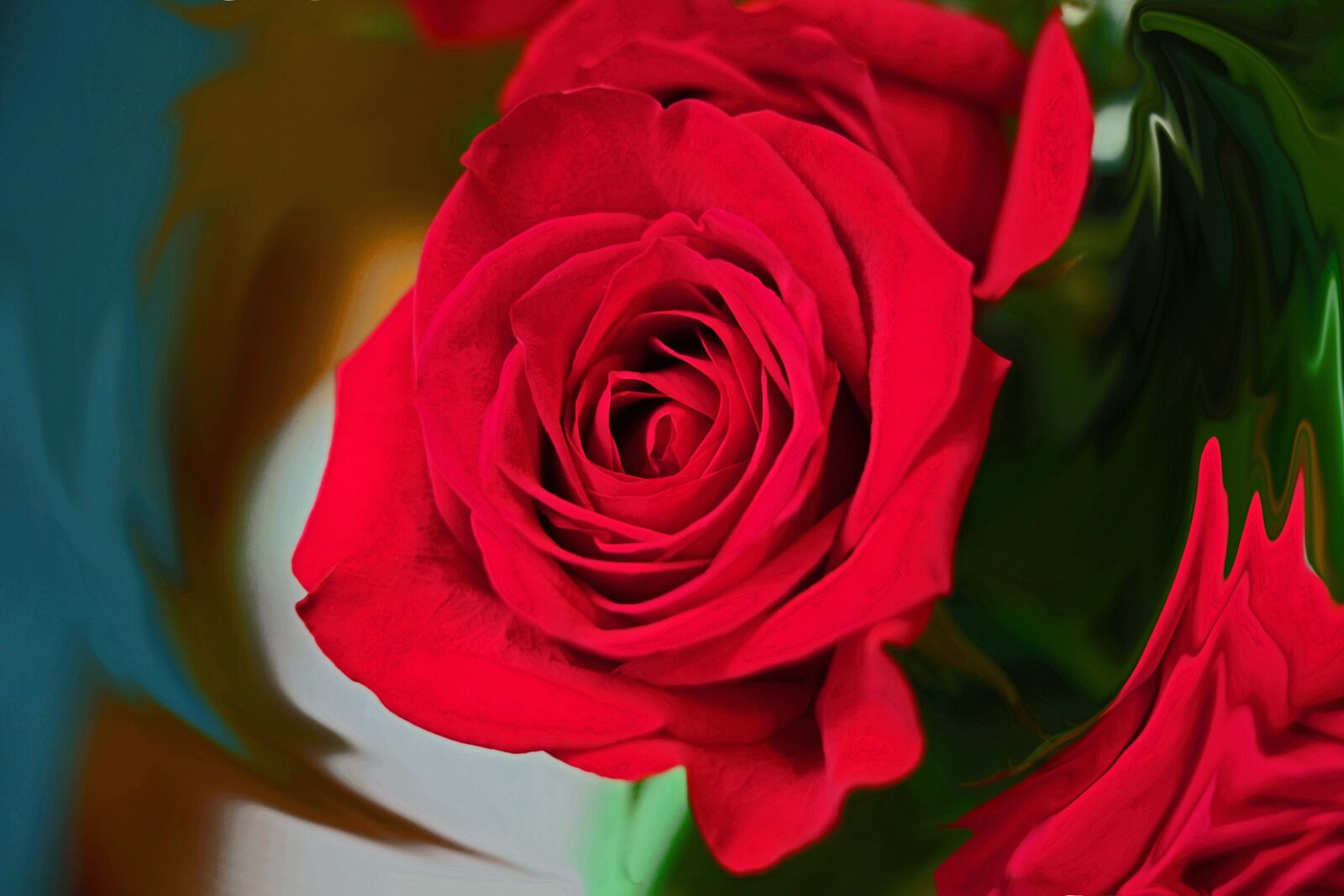 Fujifilm X-Pro1 + Fujifilm XF 35mm F1.4 R sample photo. Rose, flowing flower, red photography