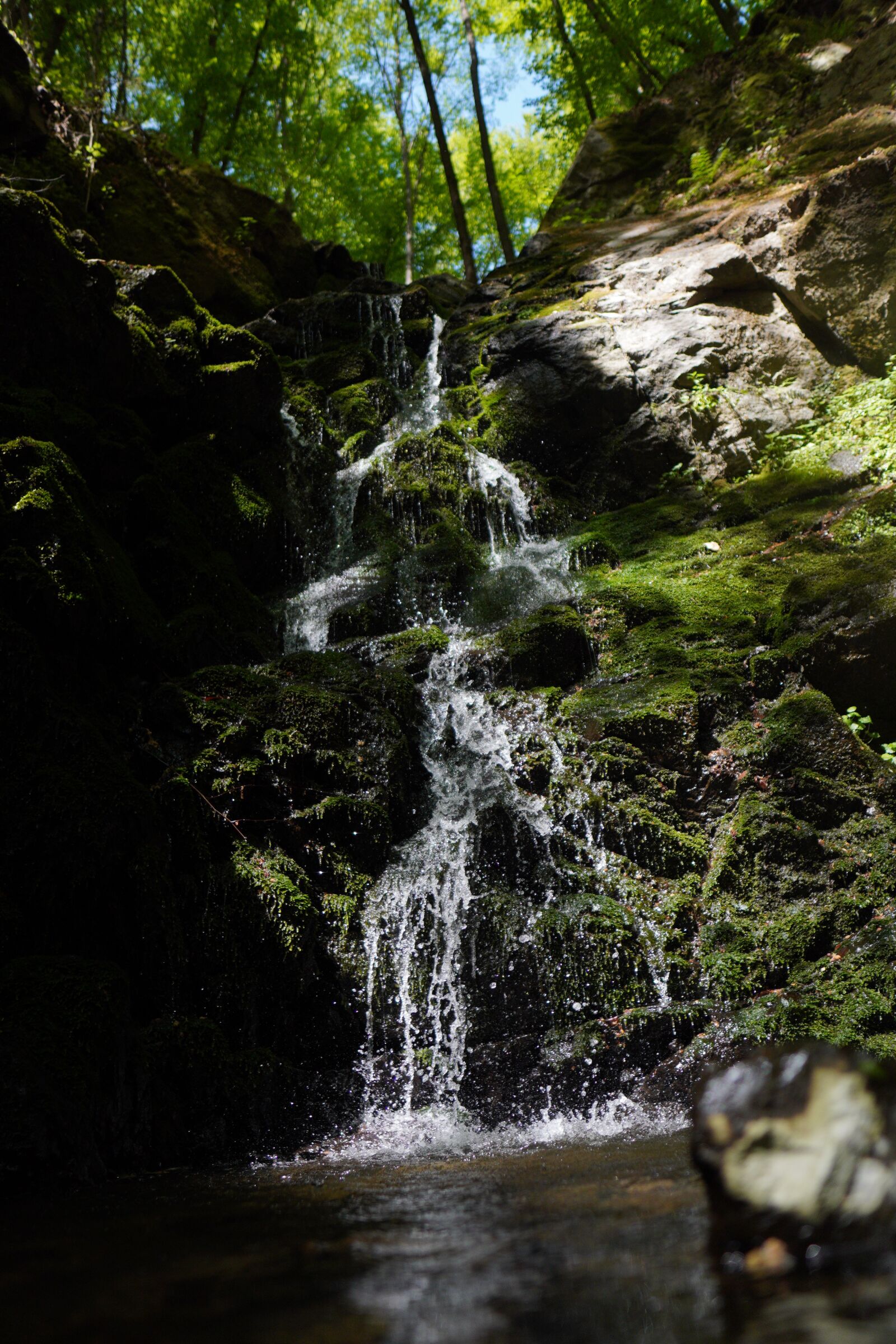 Sony a6400 + Sigma 16mm F1.4 DC DN | C sample photo. Waterfall, forest, river photography