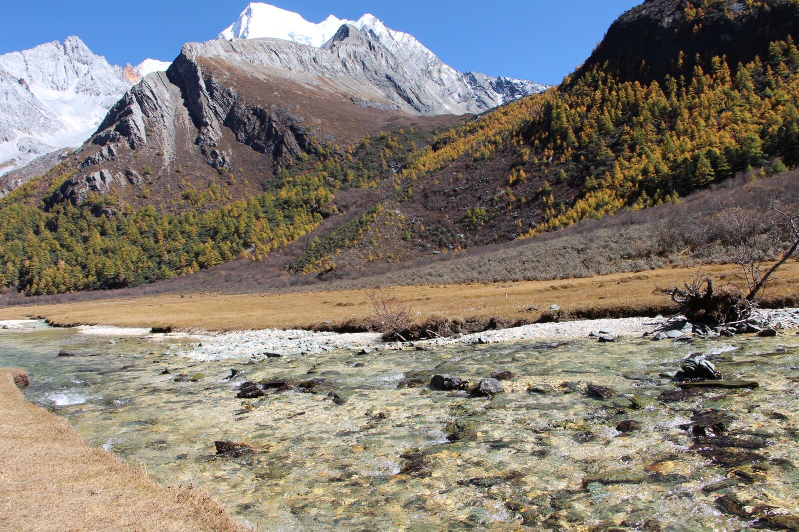 Canon EOS 700D (EOS Rebel T5i / EOS Kiss X7i) sample photo. The scenery, china, inagi photography