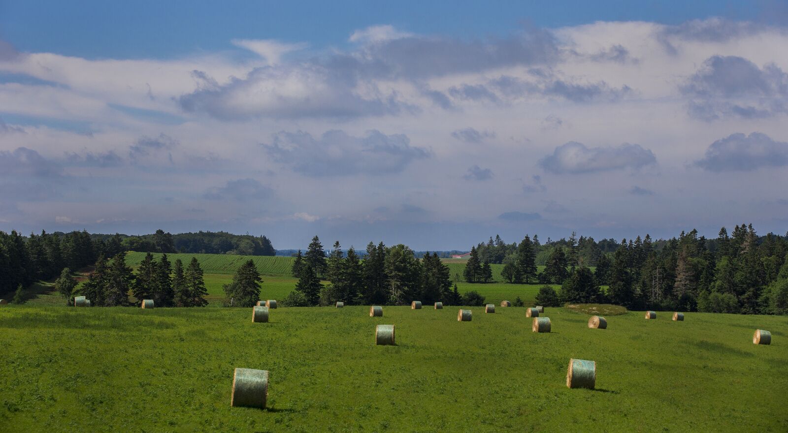Canon EOS-1D X sample photo. Landscape, bales of hay photography
