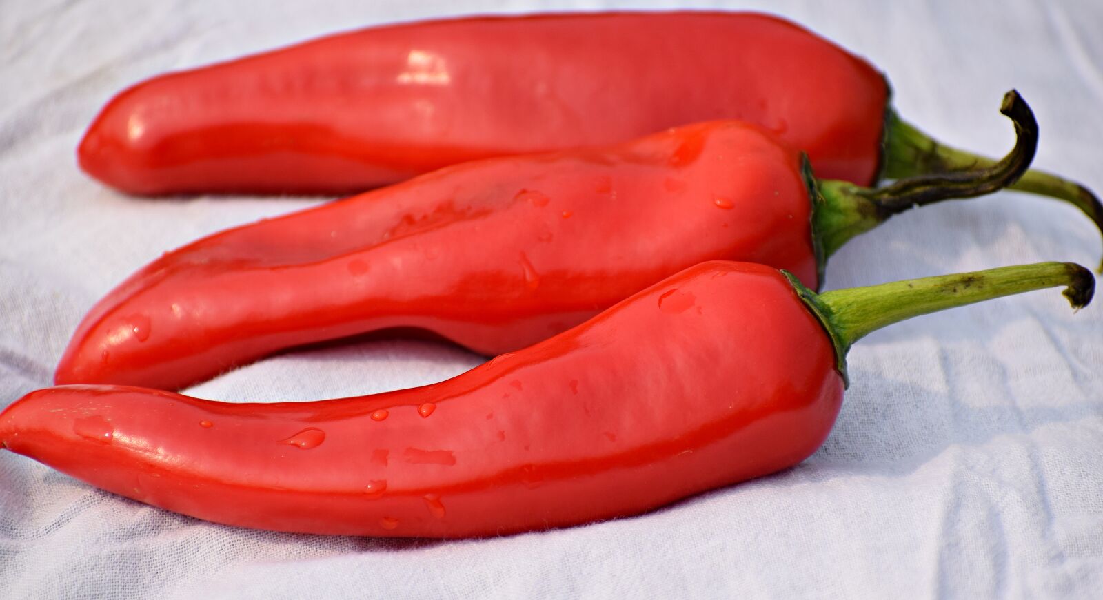 Nikon D3300 sample photo. Food, chilli, organic photography