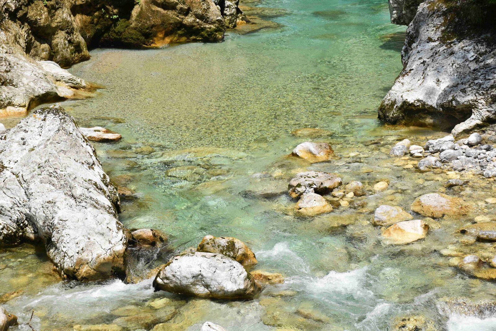 Nikon D5500 sample photo. River, crystal clear, nature photography
