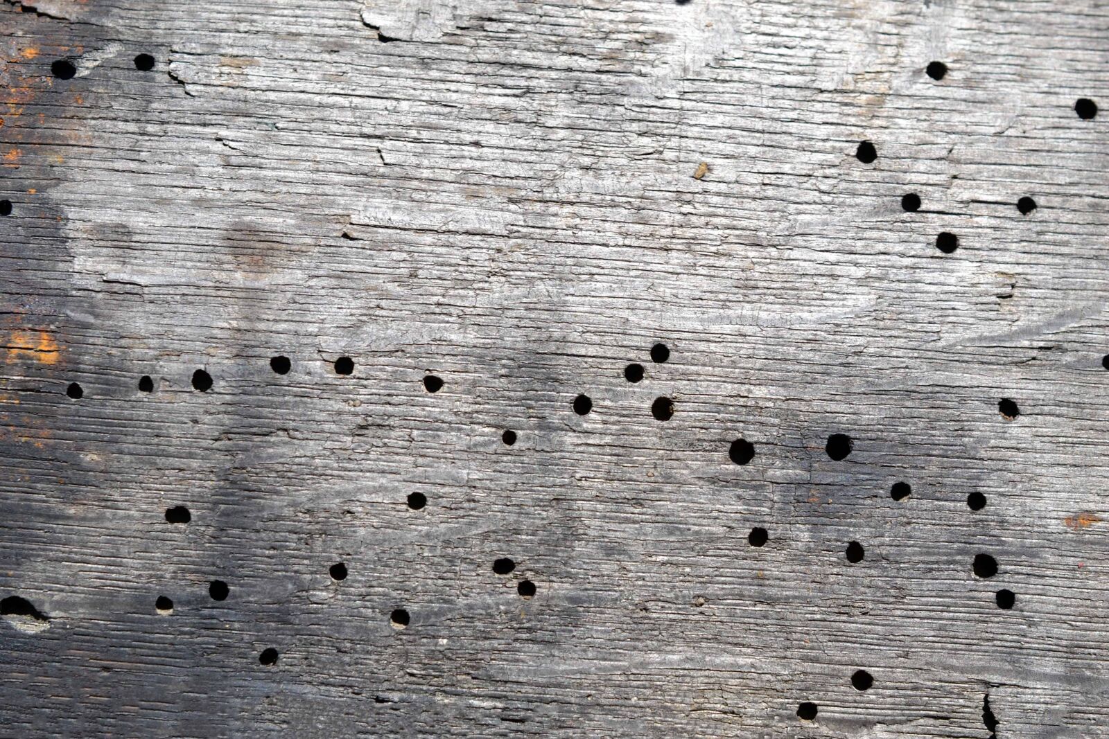 Nikon AF-S DX Micro Nikkor 40mm F2.8 sample photo. Wormhole, wall, retro, pattern photography