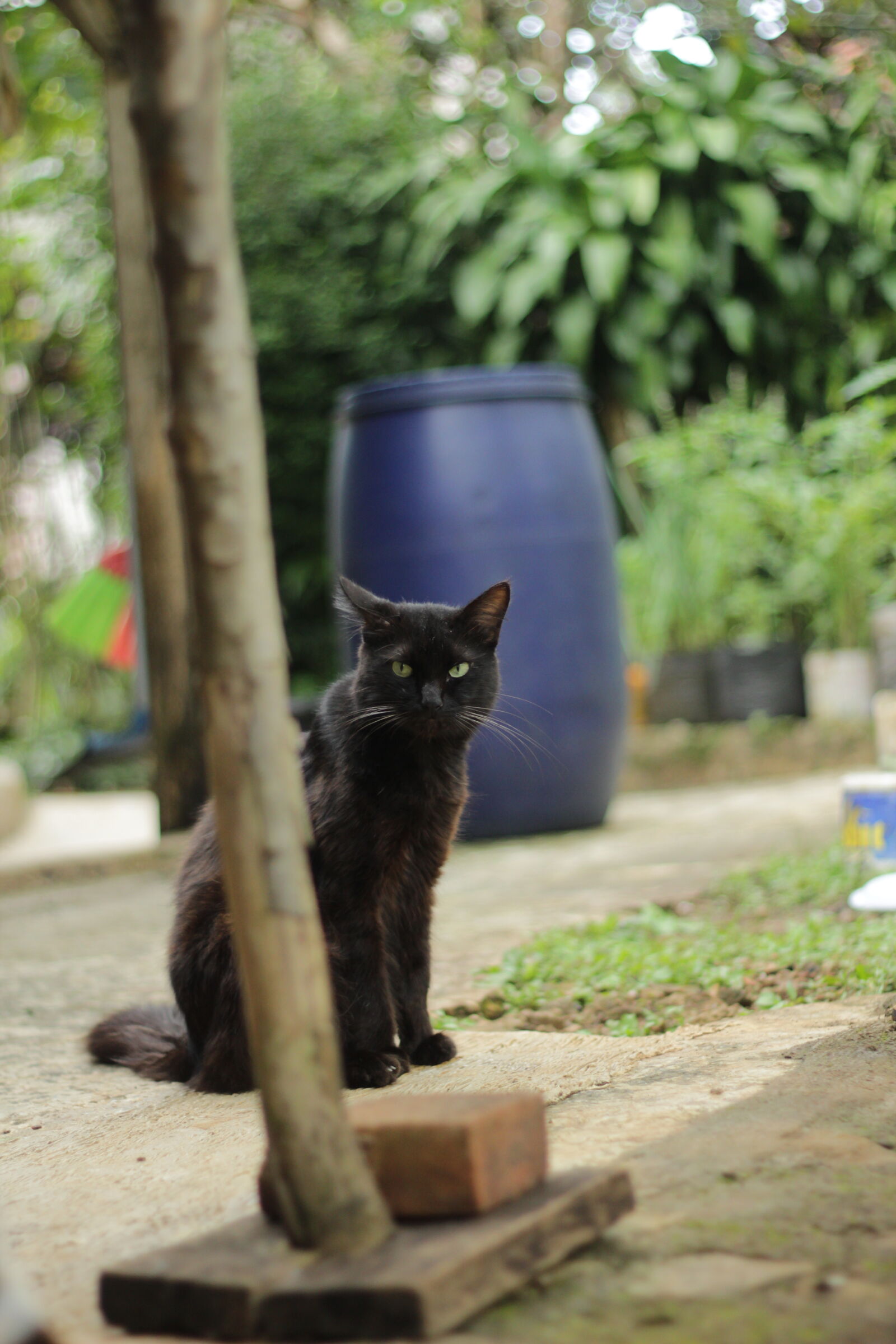 Canon EOS 600D (Rebel EOS T3i / EOS Kiss X5) sample photo