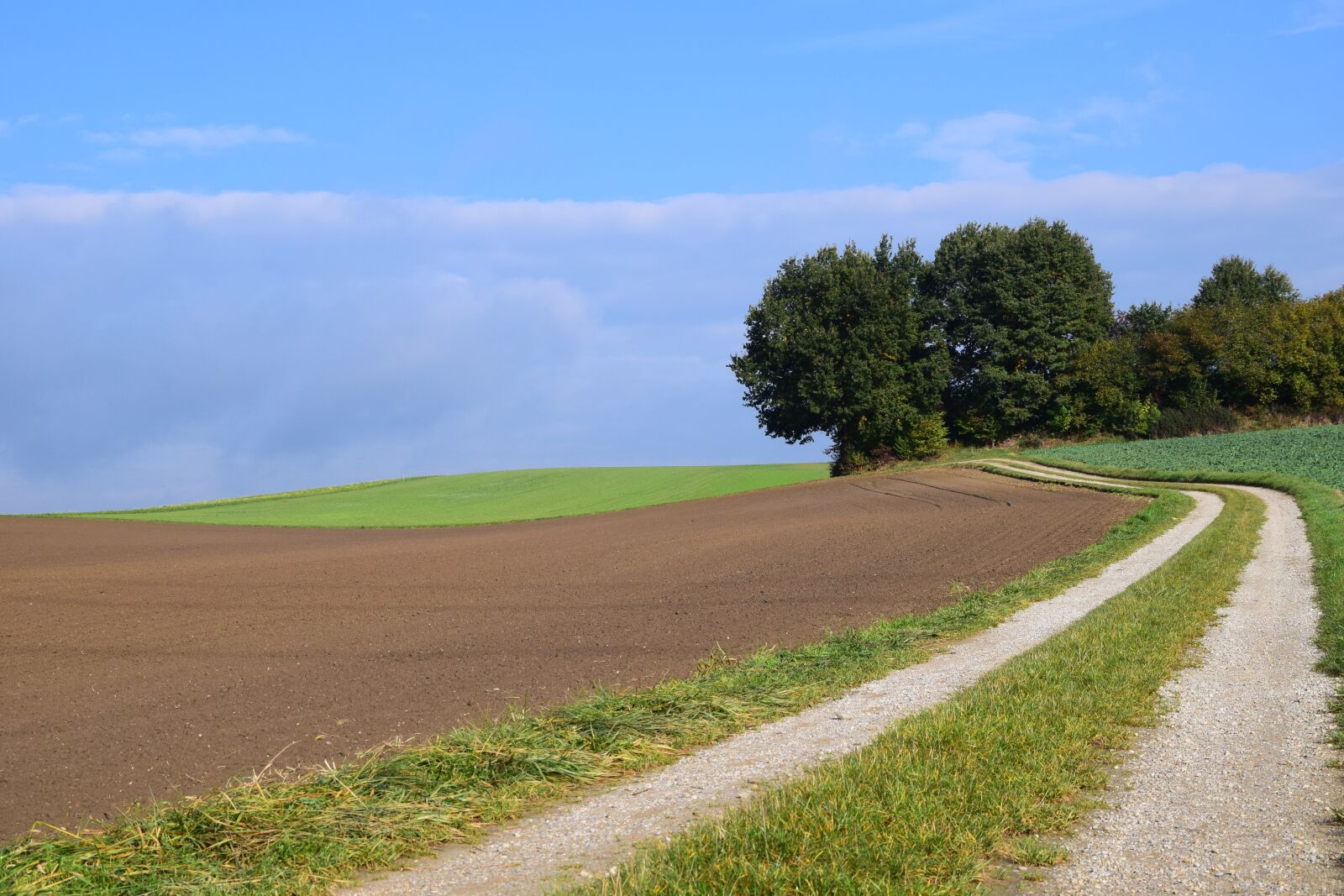 Nikon D3300 sample photo. Landscape, trees, nature photography