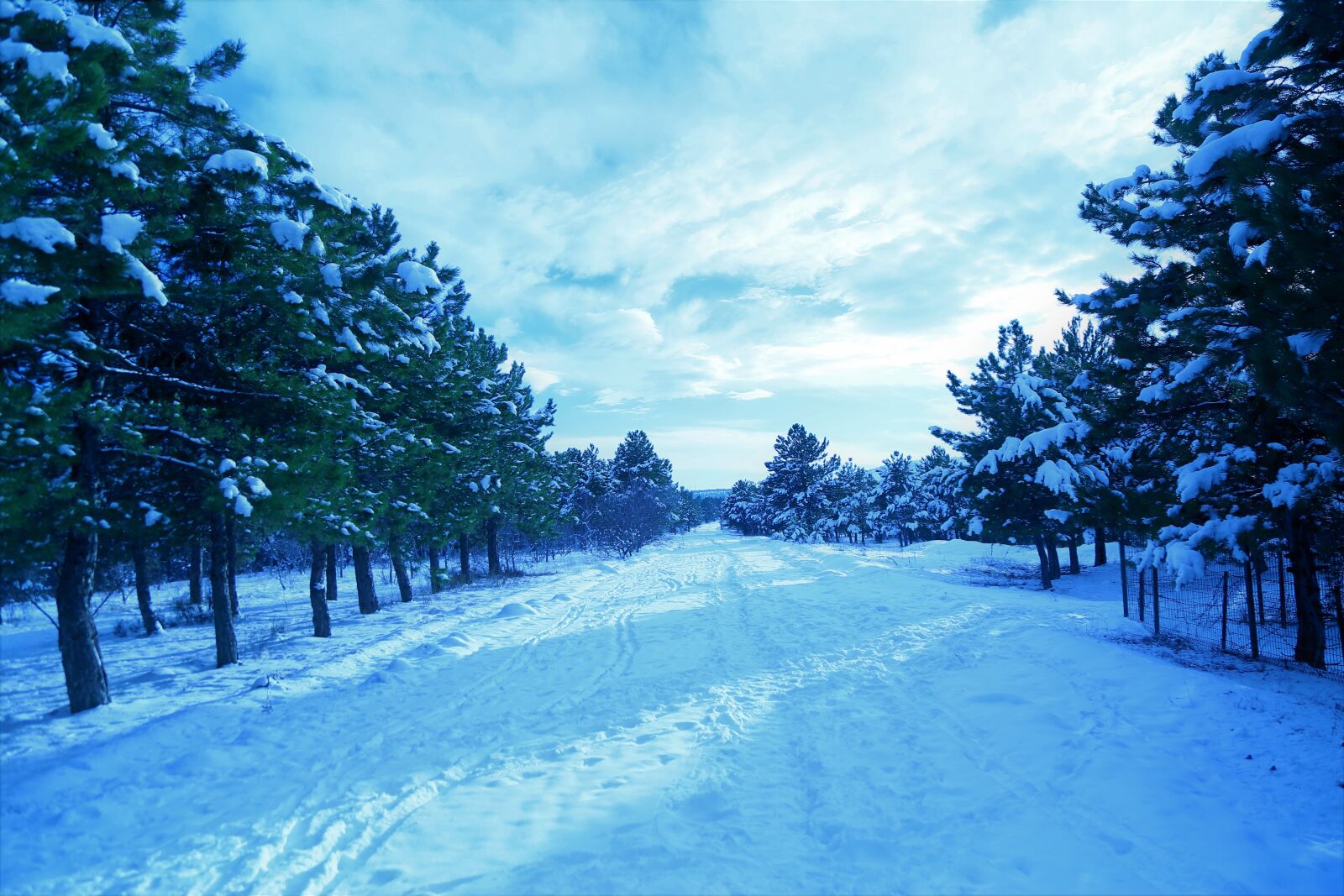 Canon EOS 5D Mark III sample photo. Snow, winter, cold photography