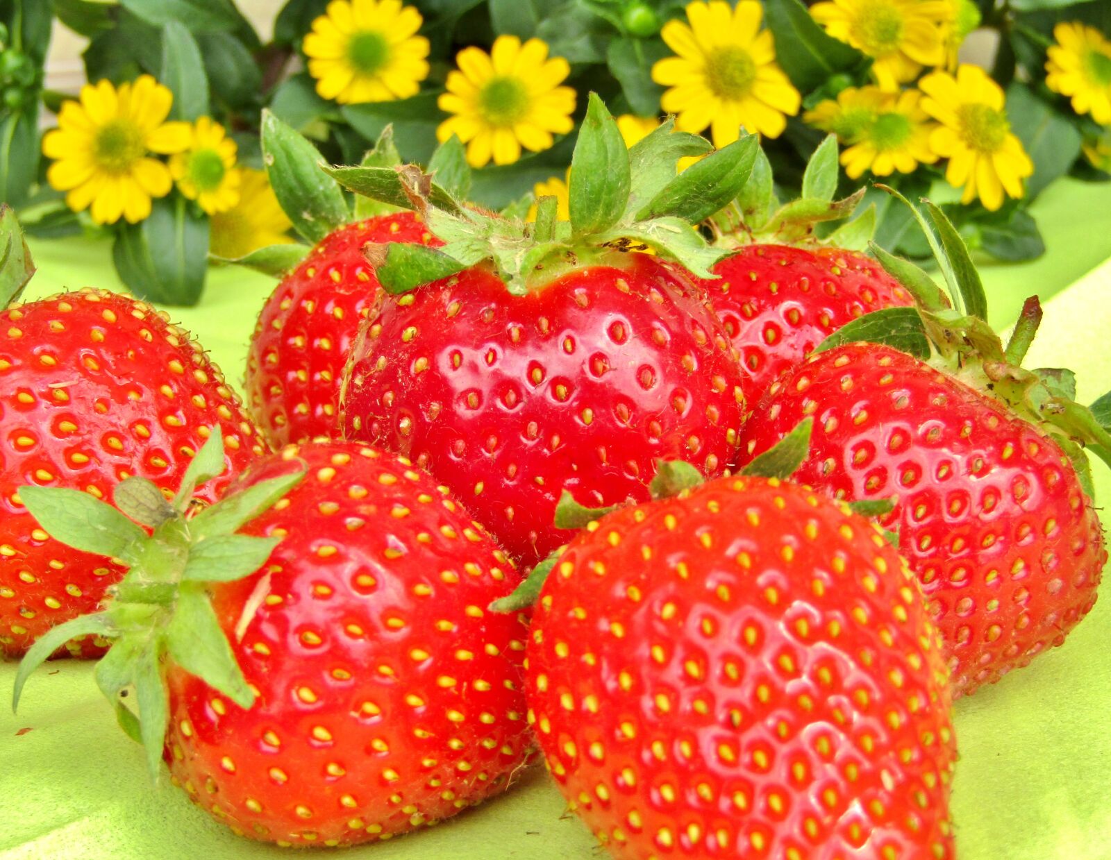 Canon POWERSHOT SX432 IS sample photo. Strawberries, flowers, fruit photography