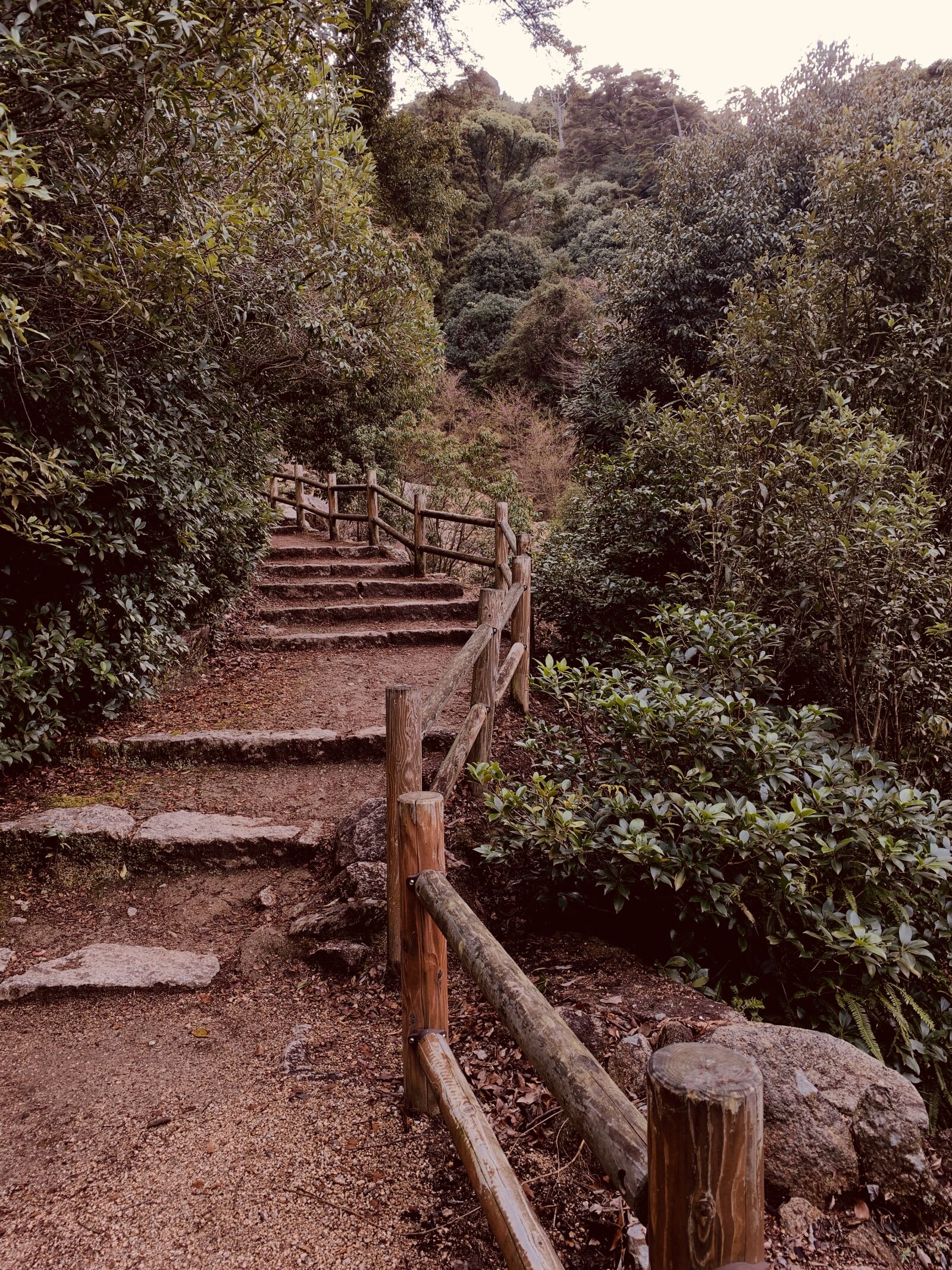 Apple iPhone XS sample photo. Hiking, trail, pathway photography