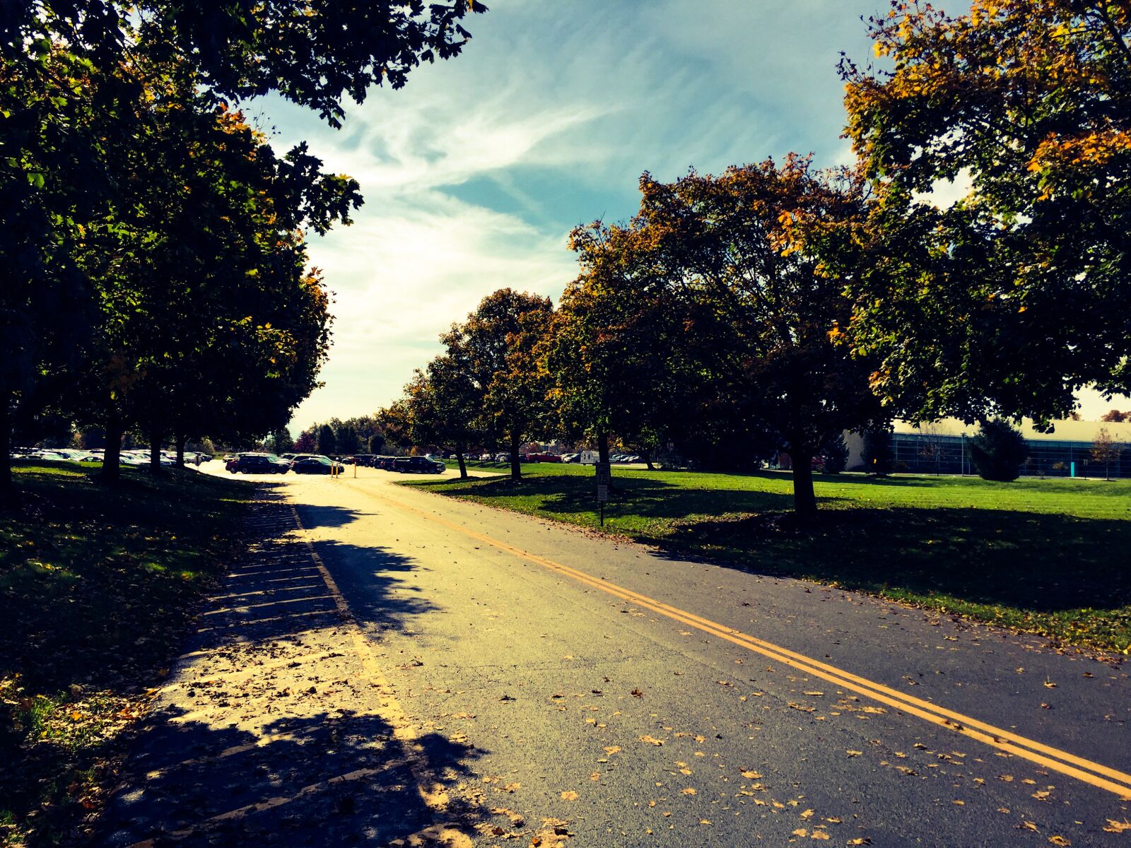 Apple iPhone 6 sample photo. Fall, nature photography