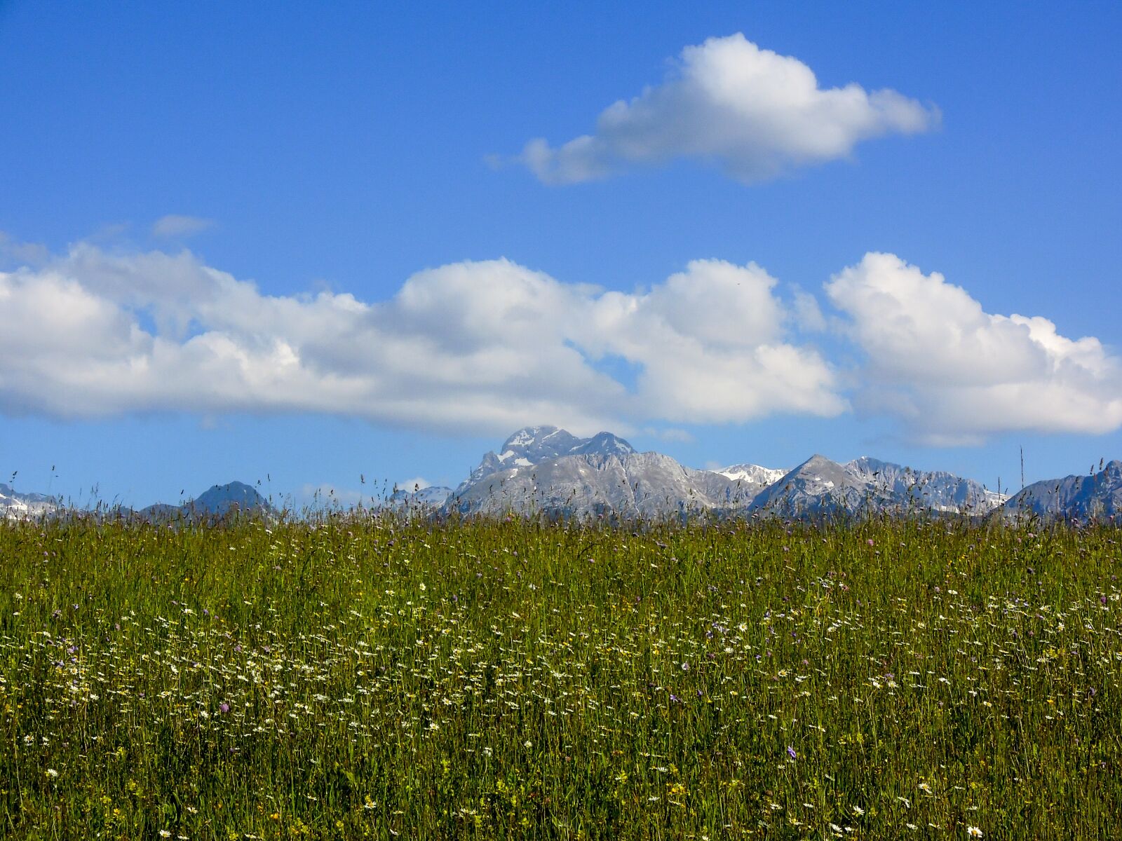 Nikon Coolpix P300 sample photo. Meadow, mountains, landscape photography