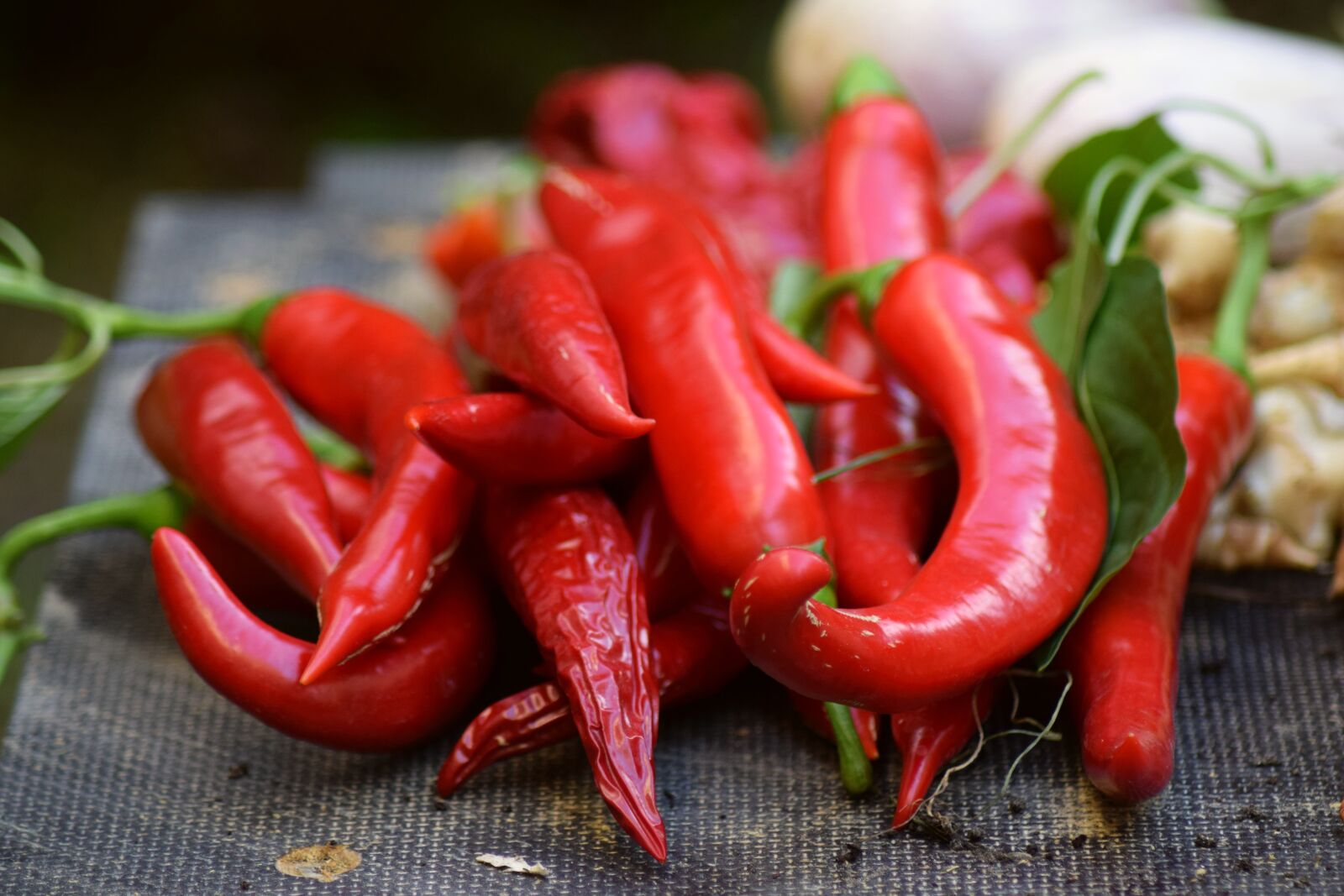 Nikon D3300 sample photo. Food, spice, vegetables photography
