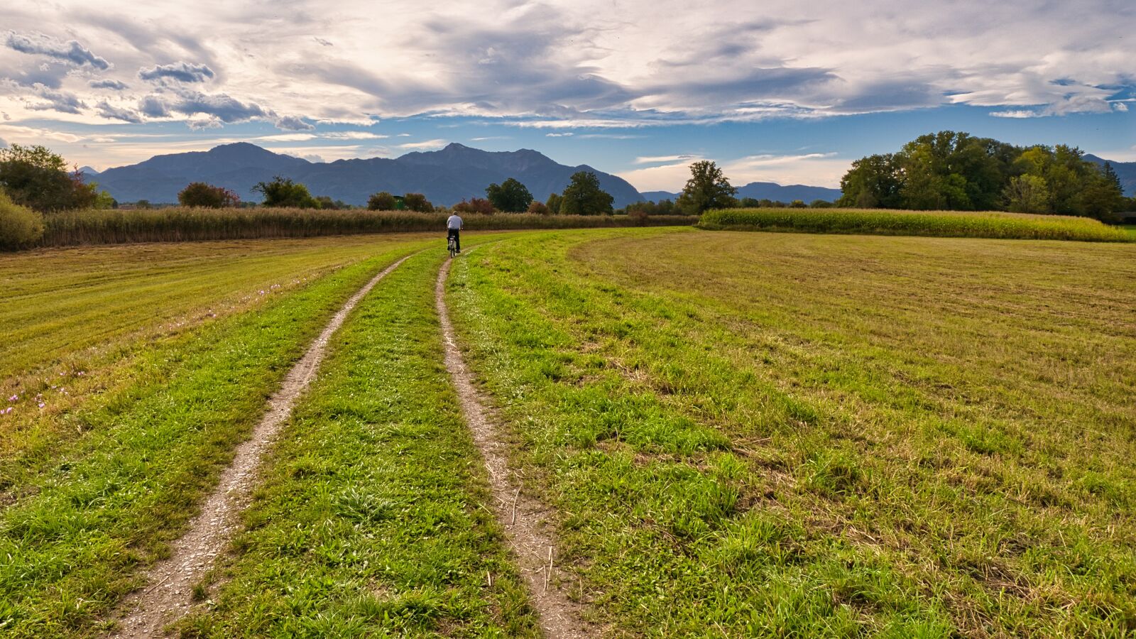 Nikon D7500 sample photo. Nature, meadow, trail photography