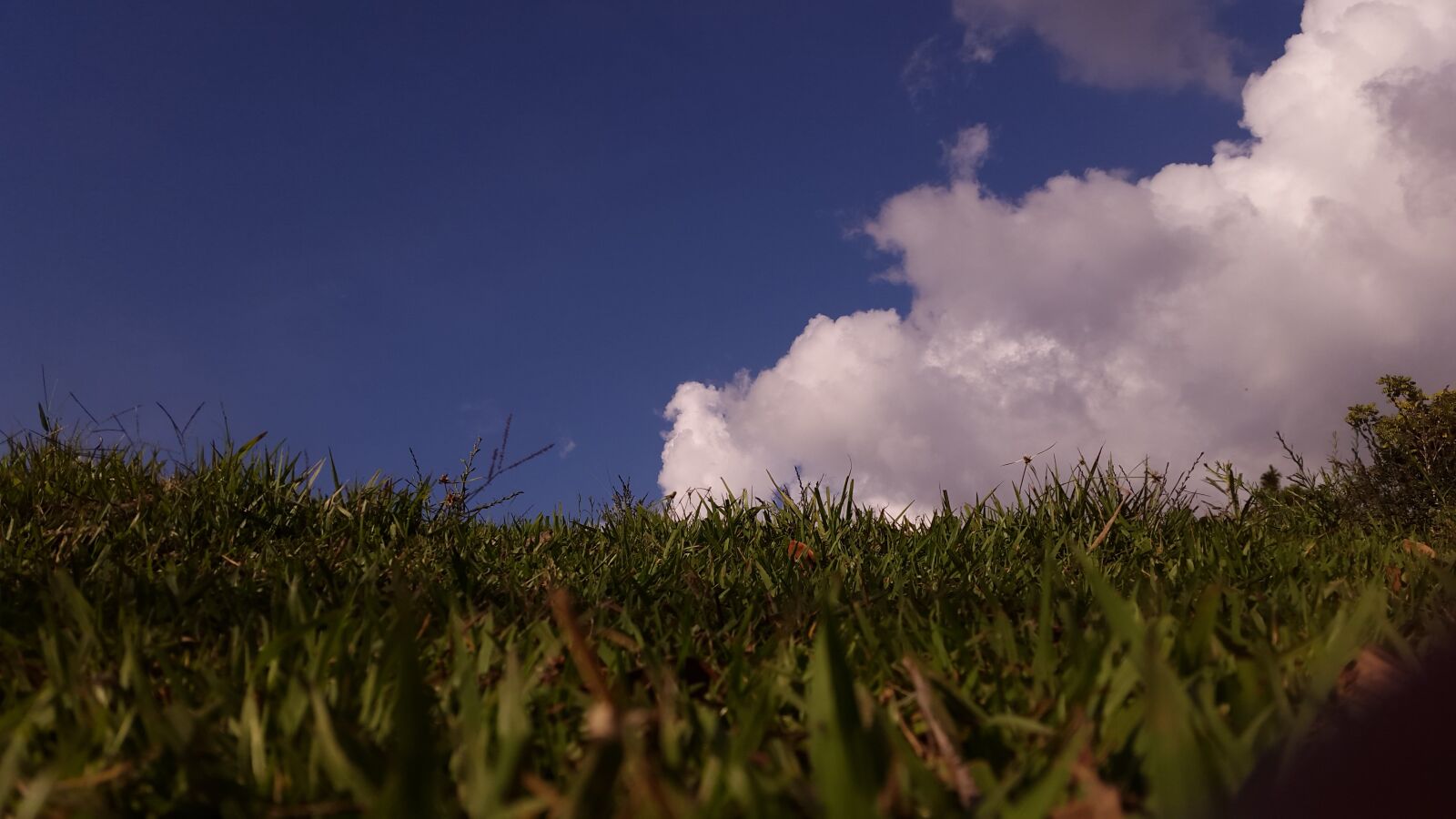 Samsung Galaxy S5 sample photo. Clouds, grass, honduras, landscape photography