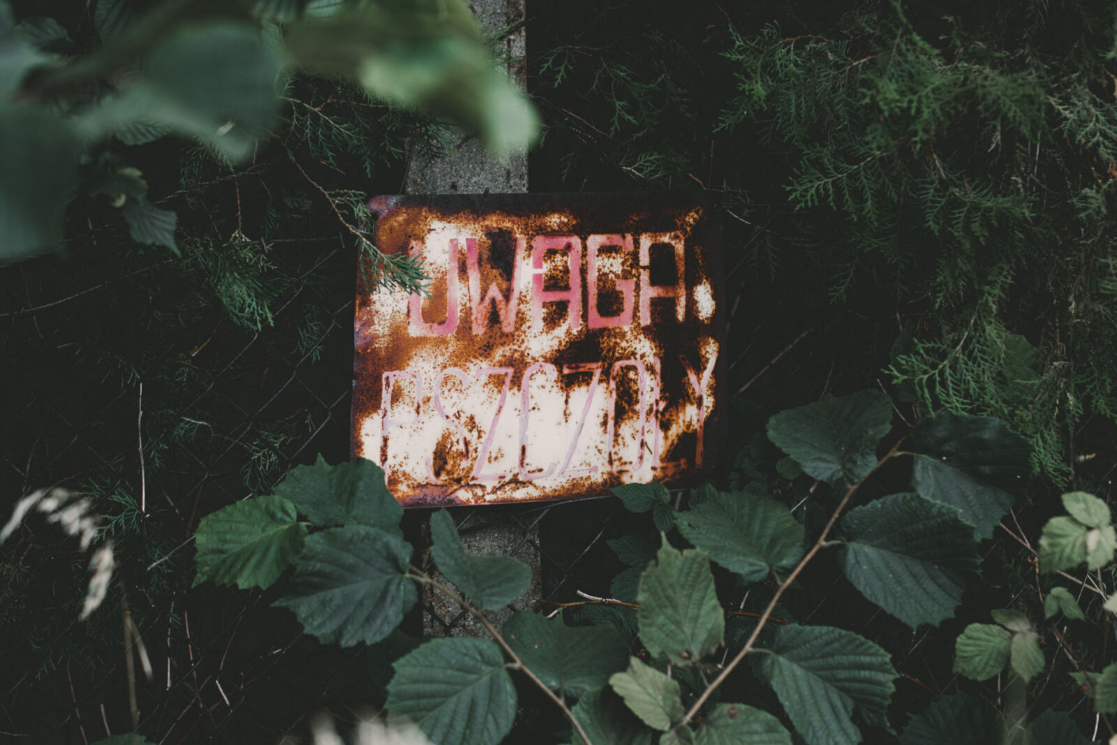 Canon EOS 70D + Canon EF 50mm F1.4 USM sample photo. Bees, sign, warning photography