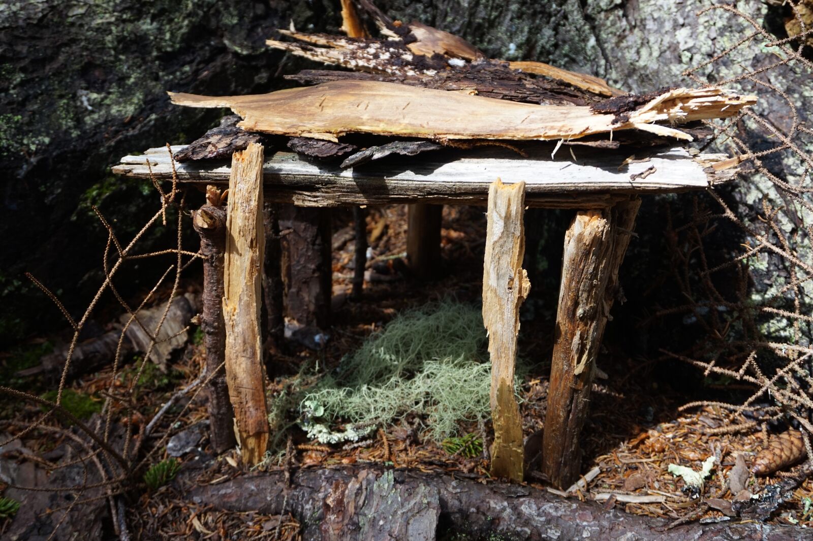 Sony Alpha a5000 (ILCE 5000) sample photo. Fairy, houses, woods photography