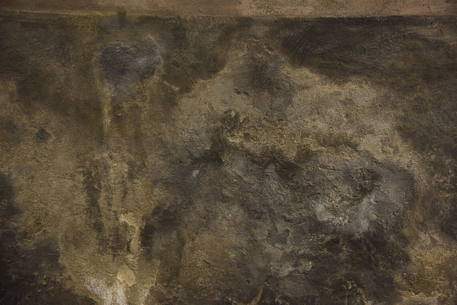 Nikon D810 sample photo. Structure, texture, background photography