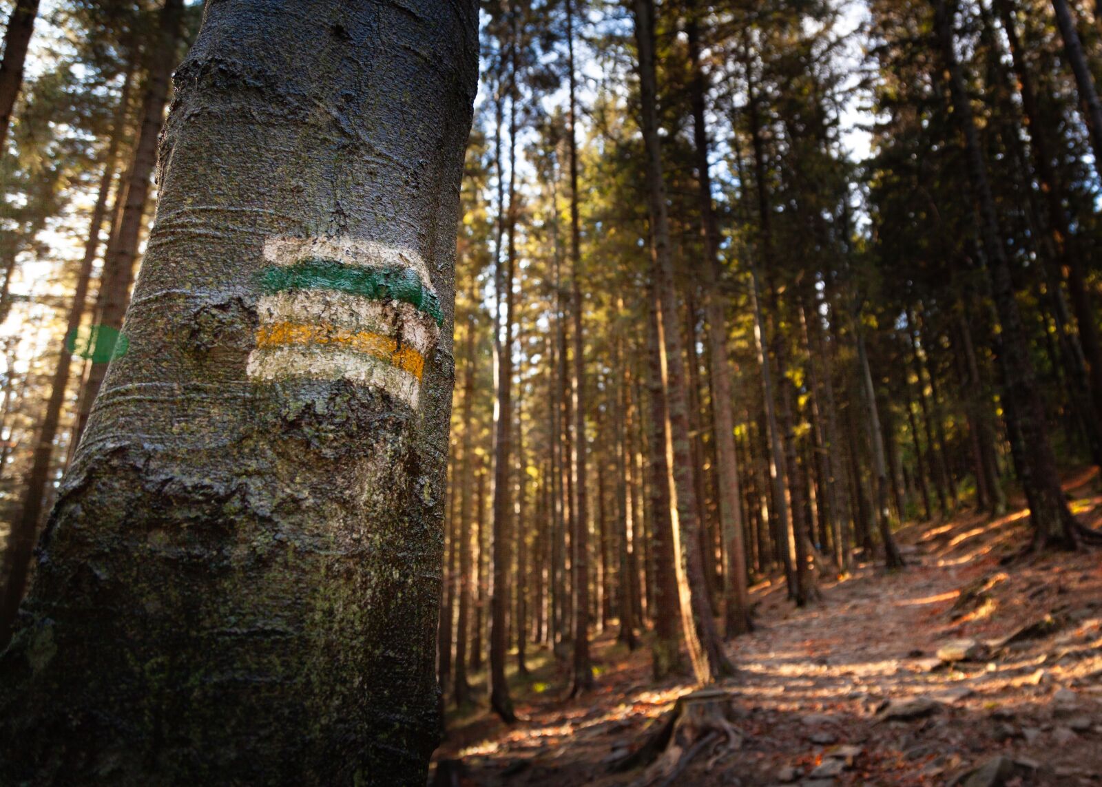 Canon EOS 5D Mark II sample photo. Pilsko, beskidy, beskids photography