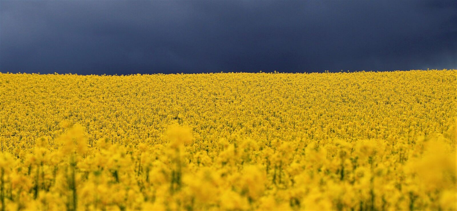 Canon EOS 7D Mark II sample photo. Rappsfeld, thunderstorm, mood photography