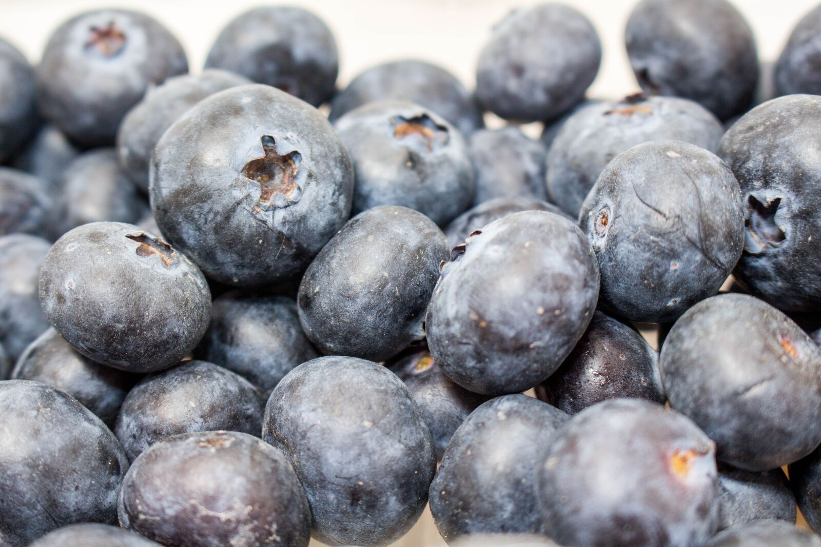 Canon EOS 700D (EOS Rebel T5i / EOS Kiss X7i) sample photo. Blueberry, food, fruit photography