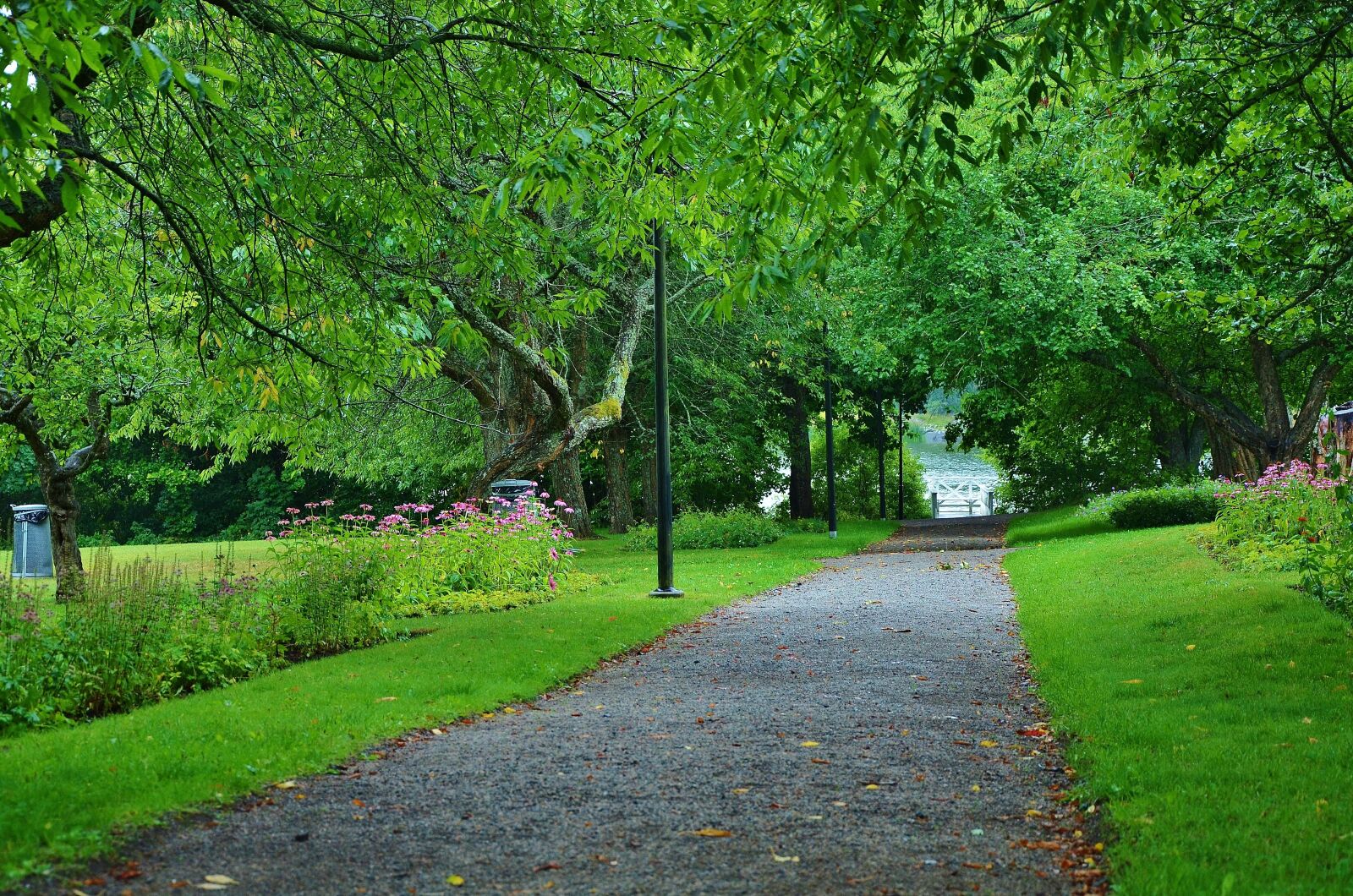 Nikon D7000 sample photo. Natur, road, summer photography