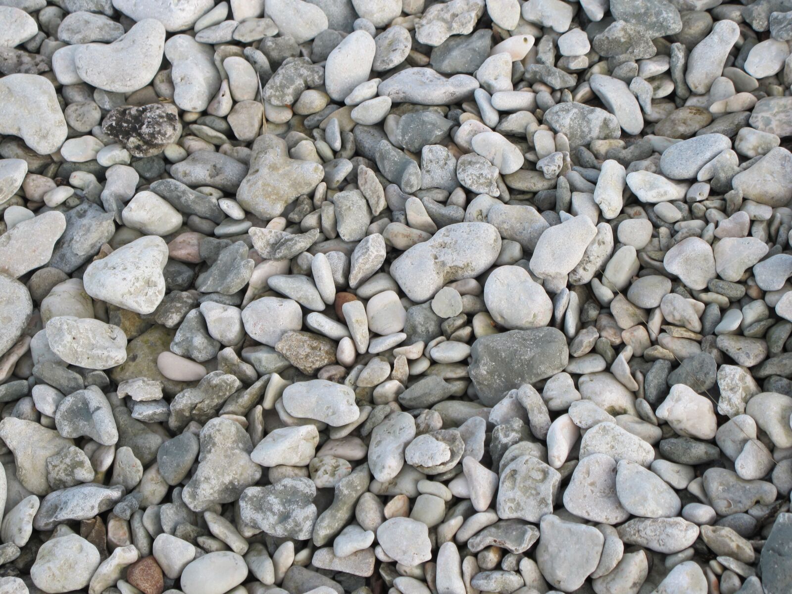 Canon PowerShot G11 sample photo. Stones, pebbles, beach photography