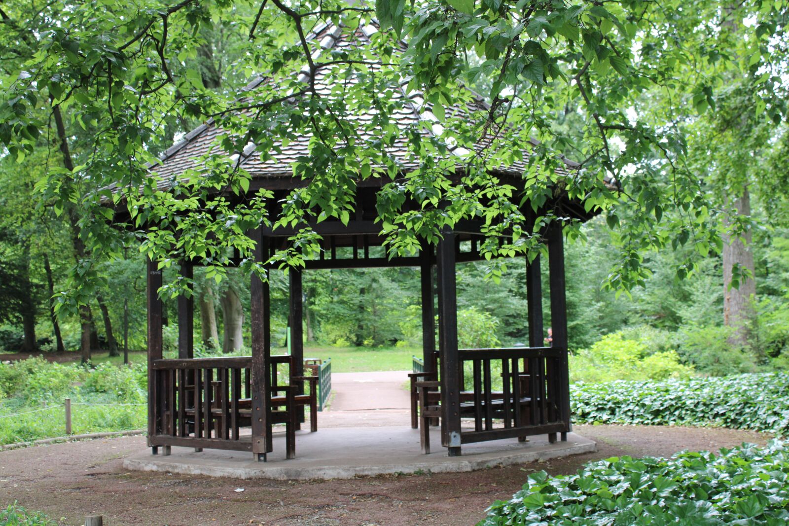 Canon EOS 2000D (EOS Rebel T7 / EOS Kiss X90 / EOS 1500D) sample photo. Garden, japan, nature photography