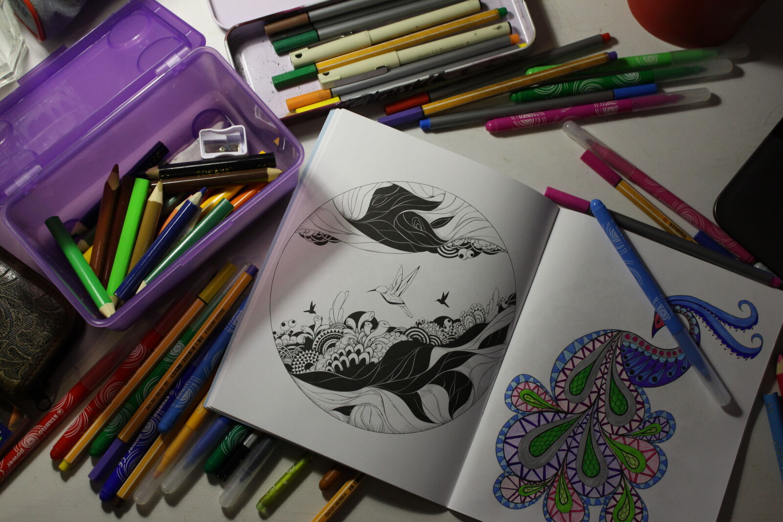 Canon EOS 700D (EOS Rebel T5i / EOS Kiss X7i) sample photo. Anti, stress, art, coloringbook photography