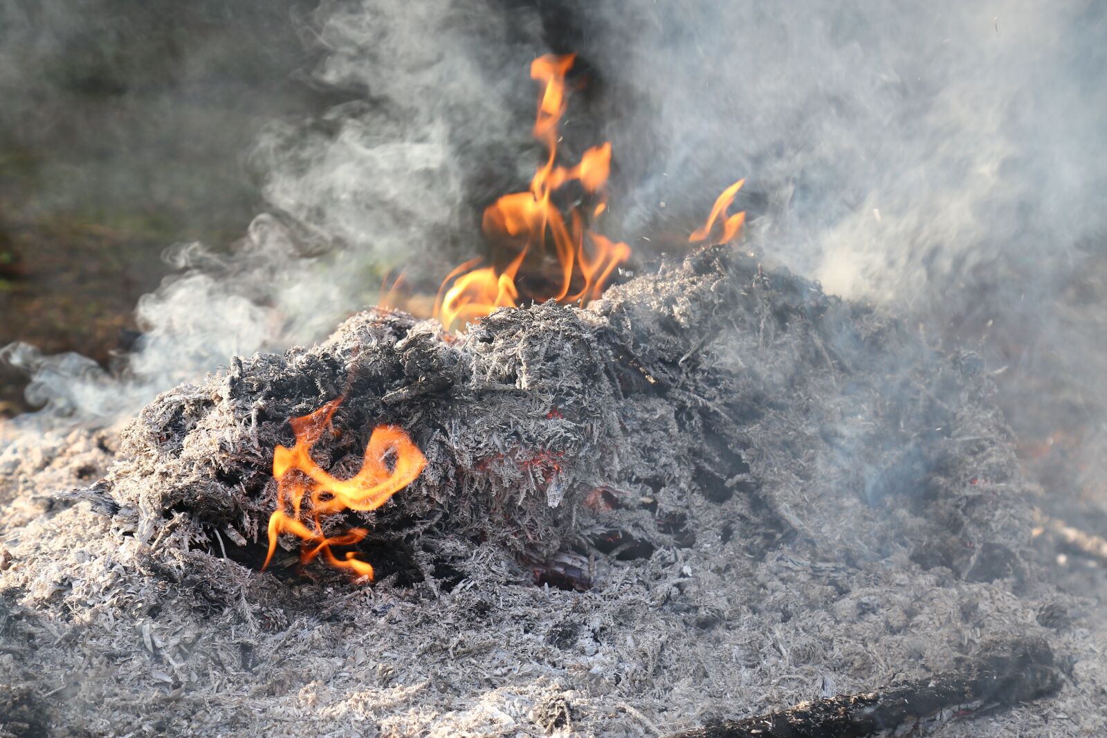 Canon EF 24-105mm F4L IS USM sample photo. Fire, fireplace, smog photography