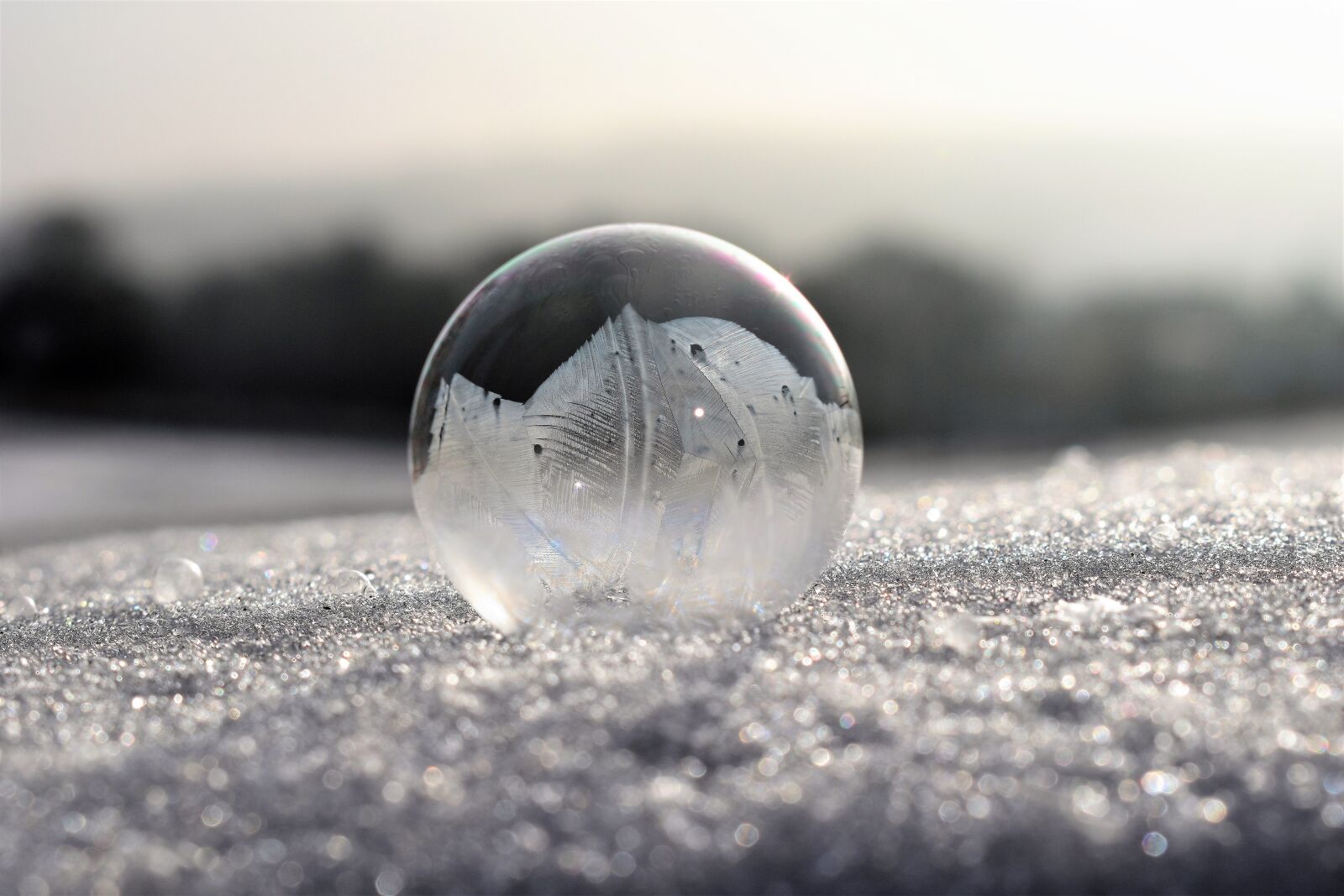 Nikon D5500 sample photo. Soap bubbles, frozen, frost photography