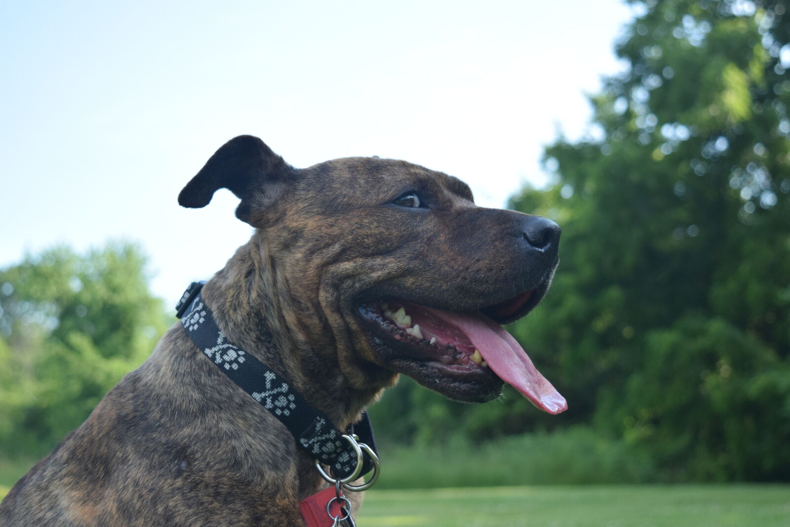 Nikon D3300 sample photo