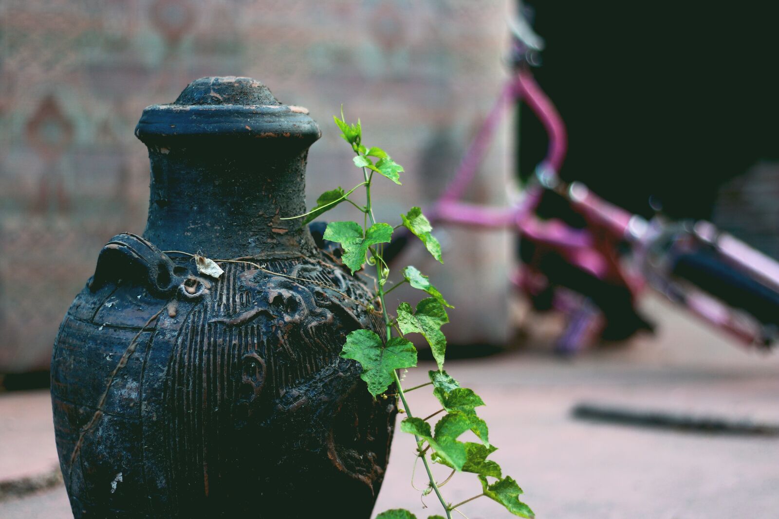 Canon EF 50mm F1.8 II sample photo. Vase, leaves, old photography