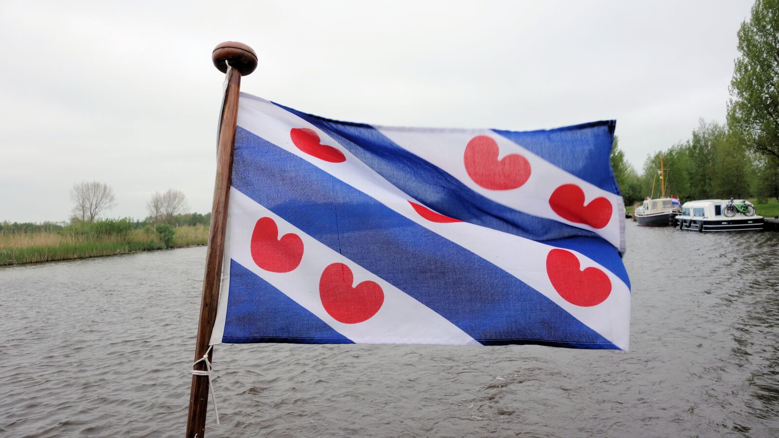 Sony Cyber-shot DSC-RX100 sample photo. Flag, friesland, water-lily leaves photography