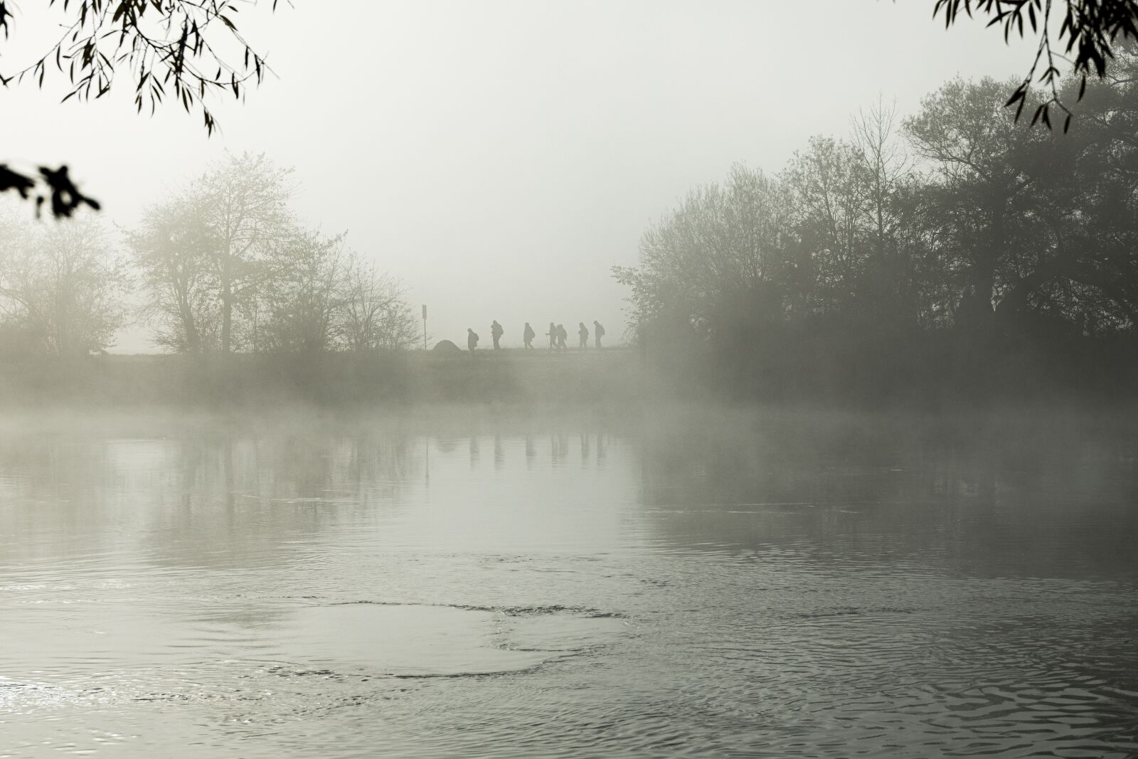 Canon EOS R sample photo. Fog, mood, landscape photography