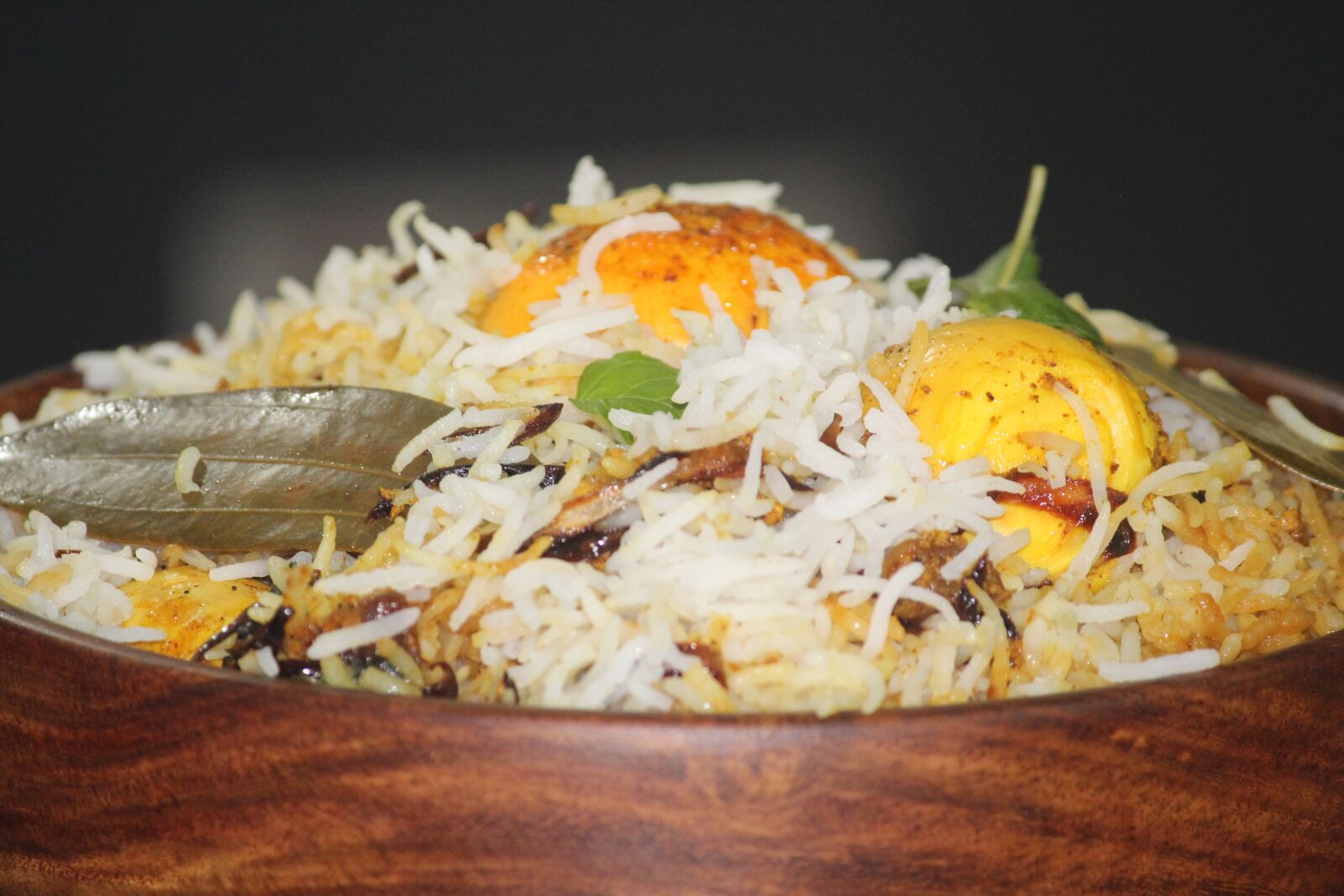 Canon EOS 700D (EOS Rebel T5i / EOS Kiss X7i) sample photo. Biryani, dum biryani, spicy photography