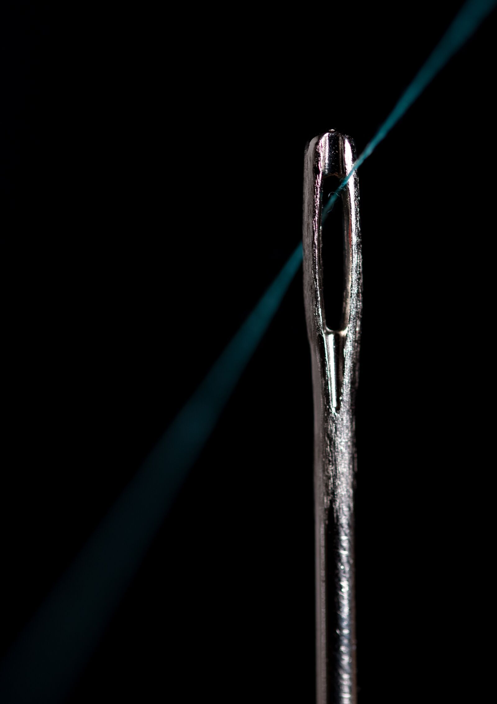 Nikon D750 sample photo. Needle, thread, needle and photography