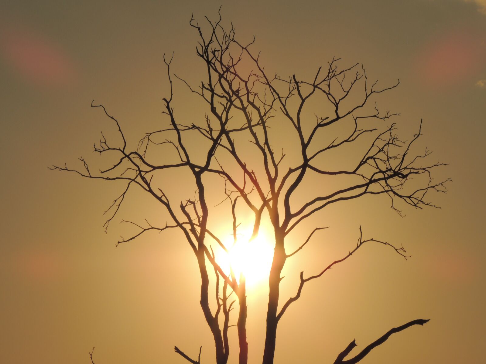 Nikon Coolpix P510 sample photo. Sunset, eventide, sol photography