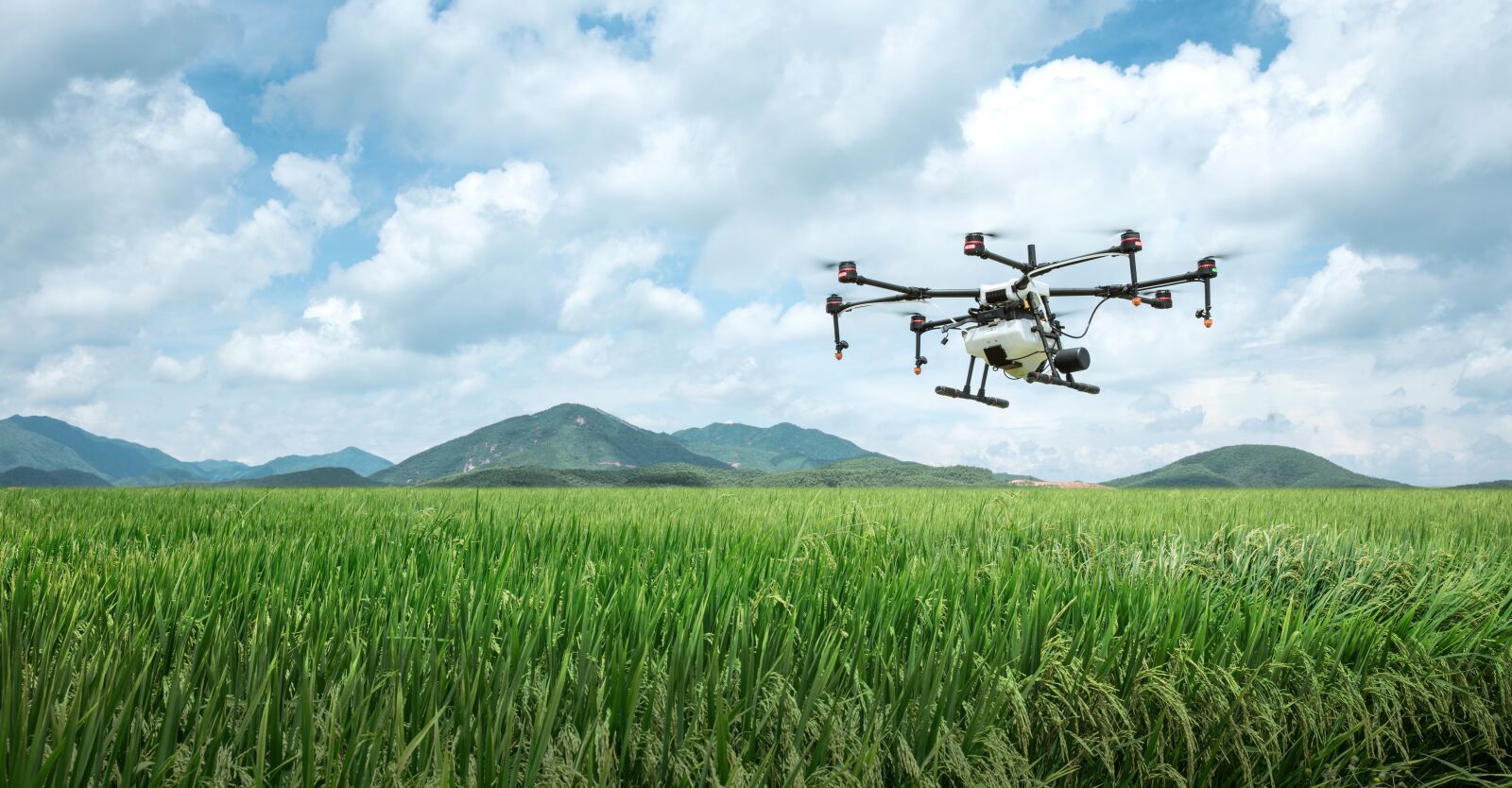 Canon EOS 5DS R sample photo. Dji, farming, agriculture photography