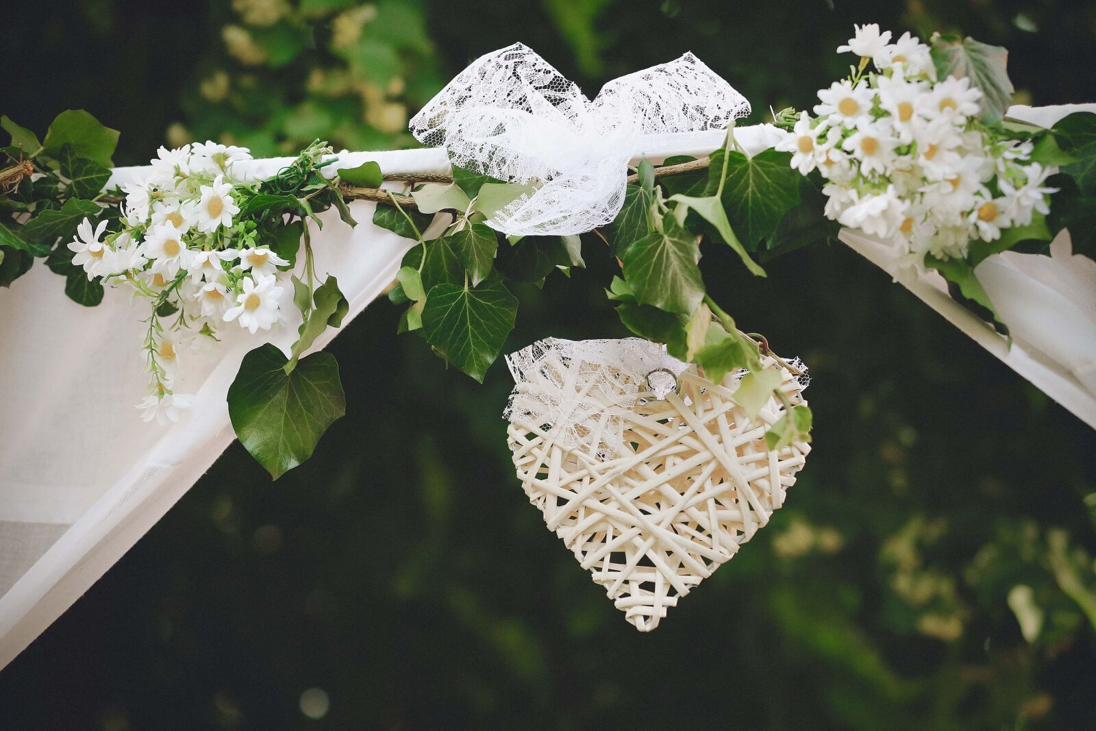 Canon EOS 5D Mark III sample photo. Handmade, romantic, heart, branch photography