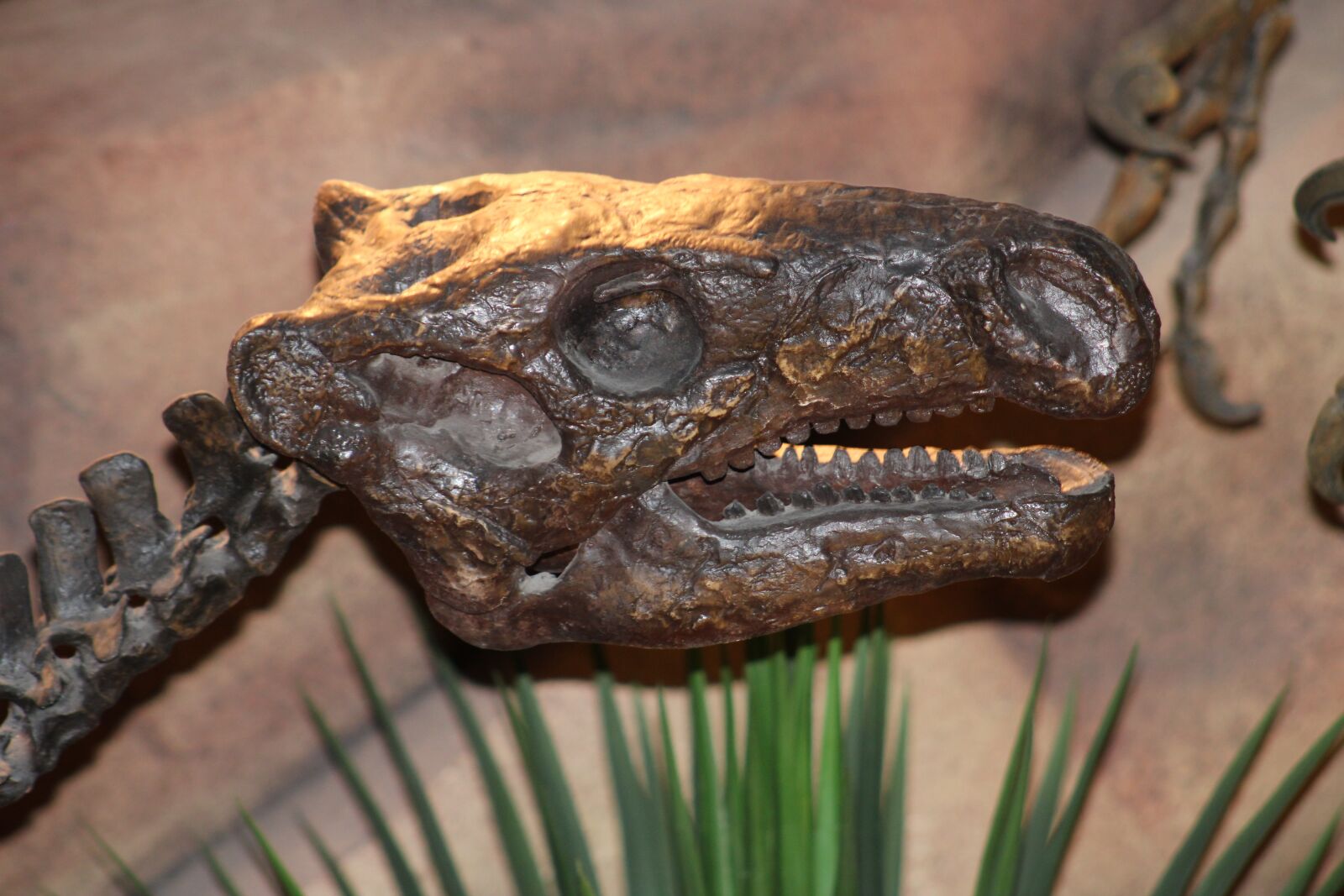 Canon EOS 2000D (EOS Rebel T7 / EOS Kiss X90 / EOS 1500D) sample photo. Dinosaur, bone, skeleton photography