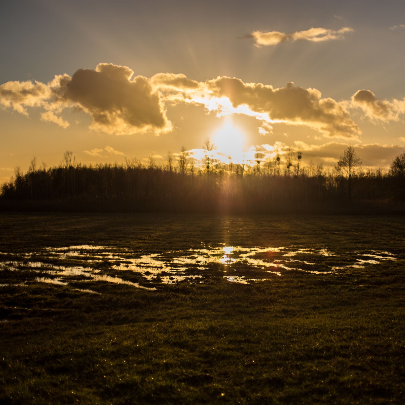 Canon EOS 6D + Canon EF 50mm F1.4 USM sample photo. Spring, sunrise, nature photography
