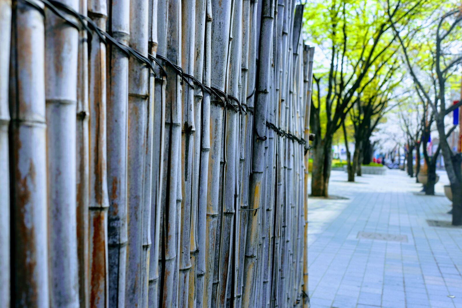 Canon EF 40mm F2.8 STM sample photo. Wood, outdoors, architecture photography