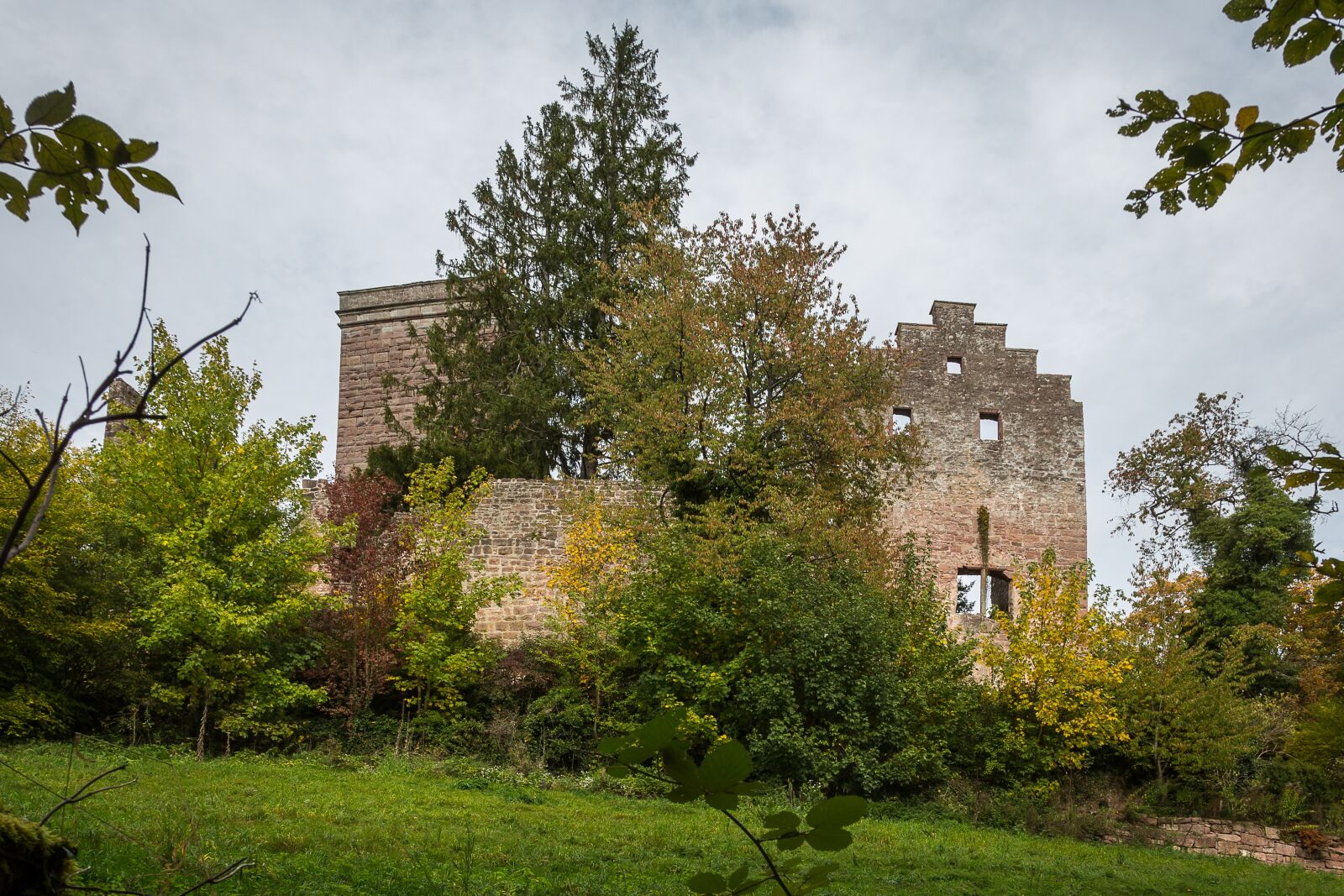 Canon EF 24-105mm F4L IS USM sample photo. Zavelstein, teinach, castle photography
