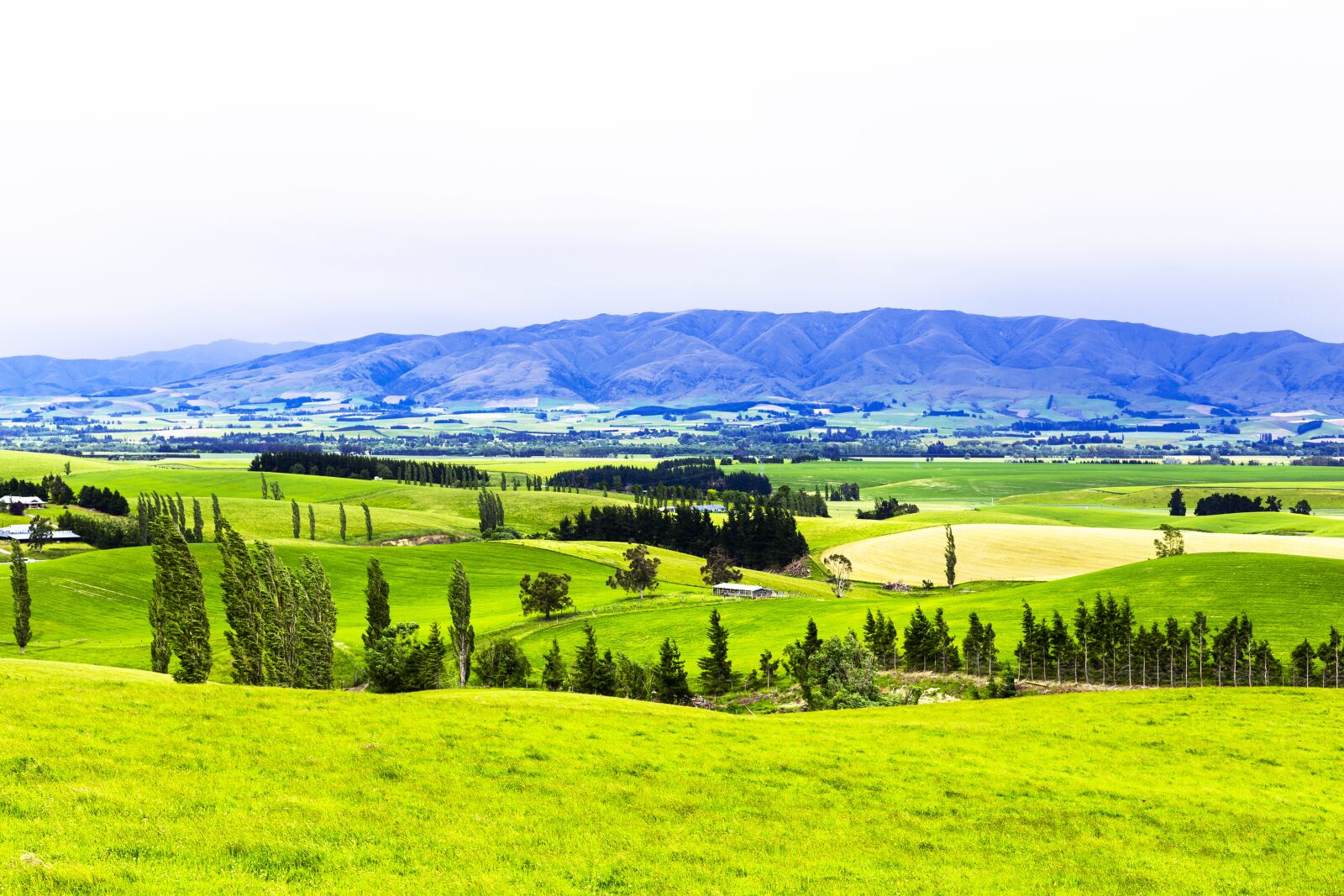Canon EOS 6D + Canon EF 50mm F1.4 USM sample photo. Beautiful landscape, beautiful new photography