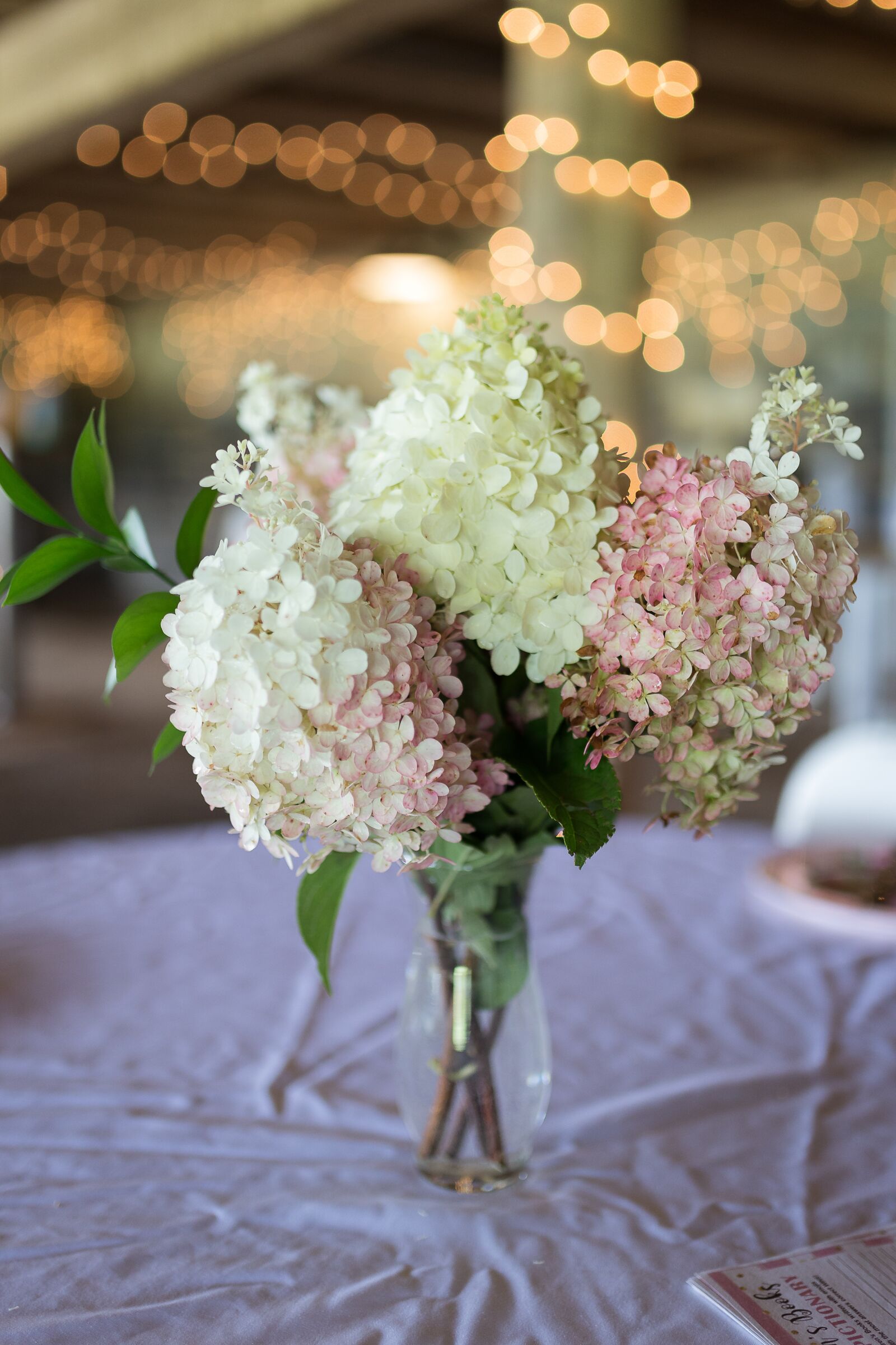 Sigma 35mm F1.4 DG HSM Art sample photo. Hydrangea, party, bloom photography