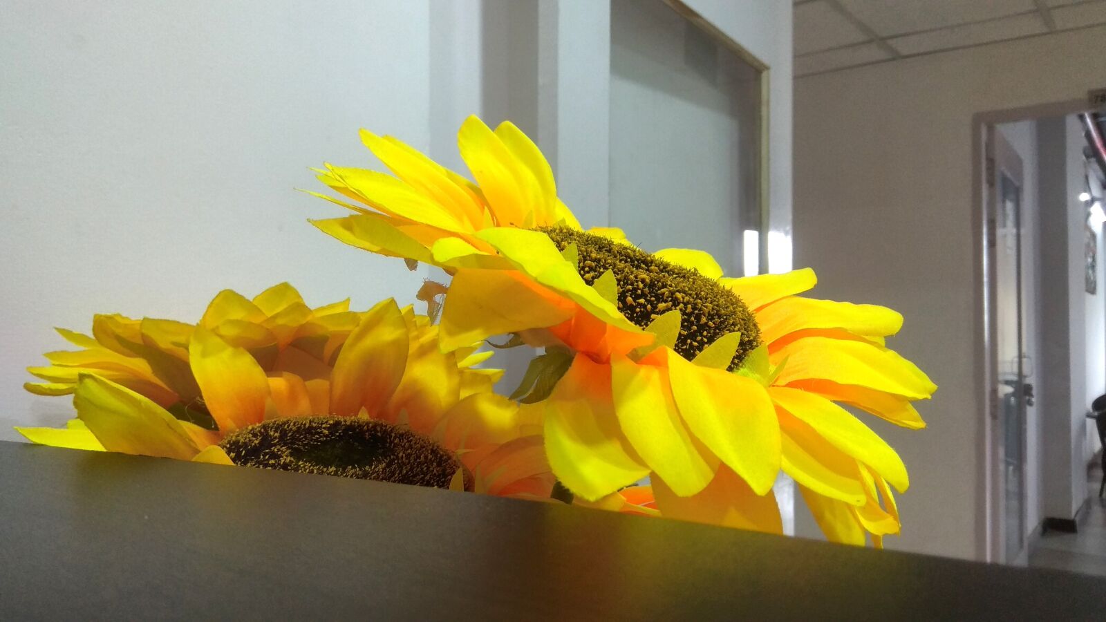 Xiaomi Redmi Note 4 sample photo. Yellow flowers, mobile clicks photography